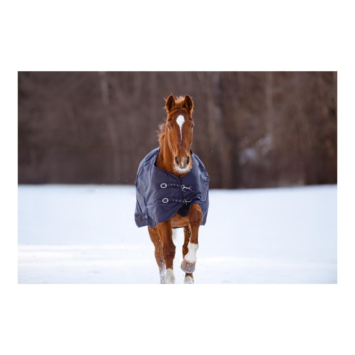 Outdoor-Pferdedecke RugBe 50 g