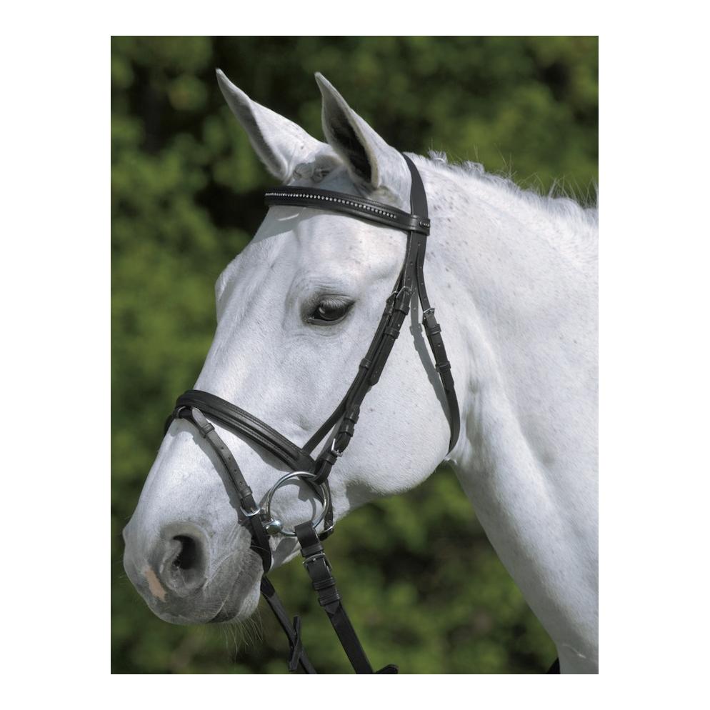 Star Diamond Trensenzaum Farbe: Schwarz/Weiss, Grösse Zaum: Shetty