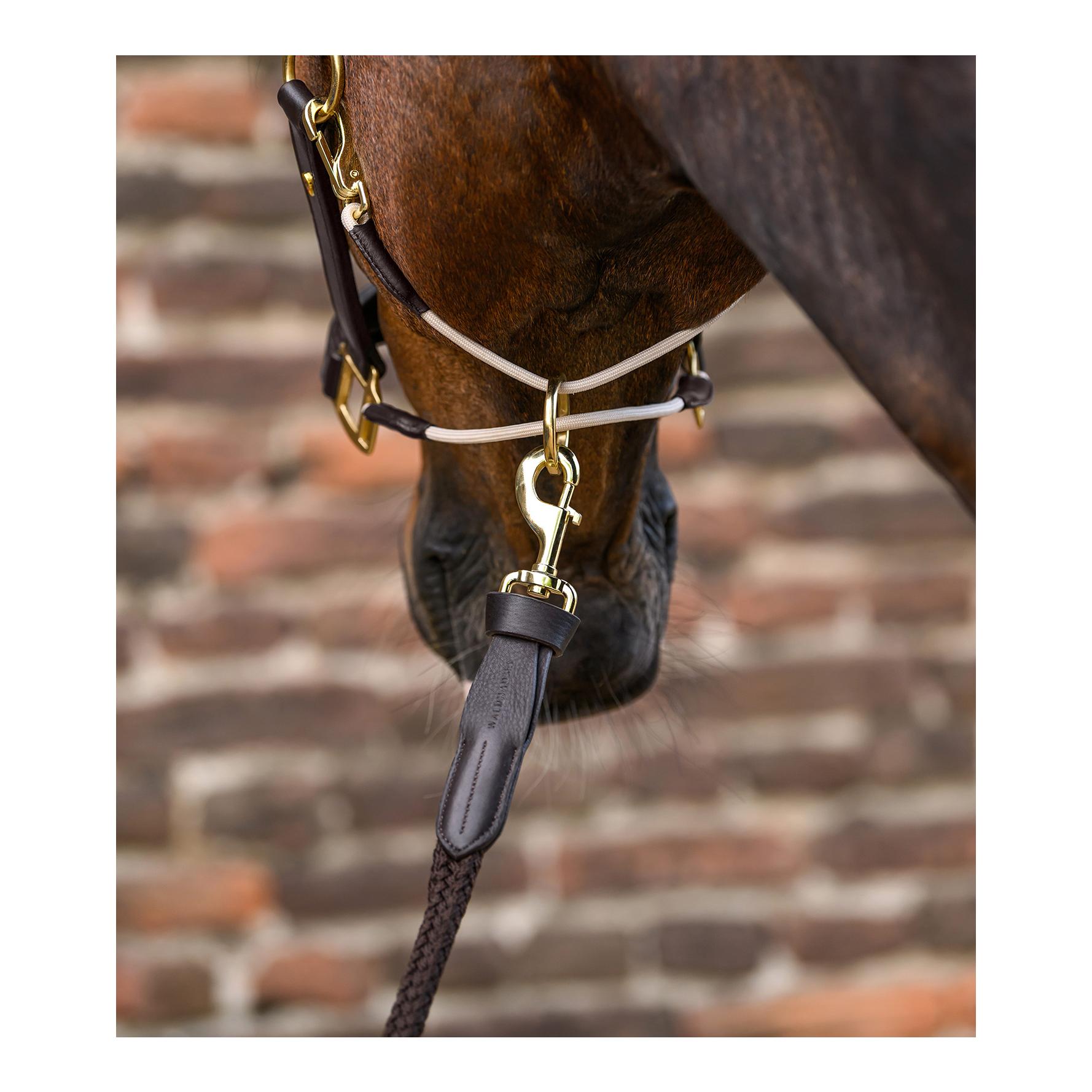 Führstrick Royal Lederdetails mit Karabinerhaken