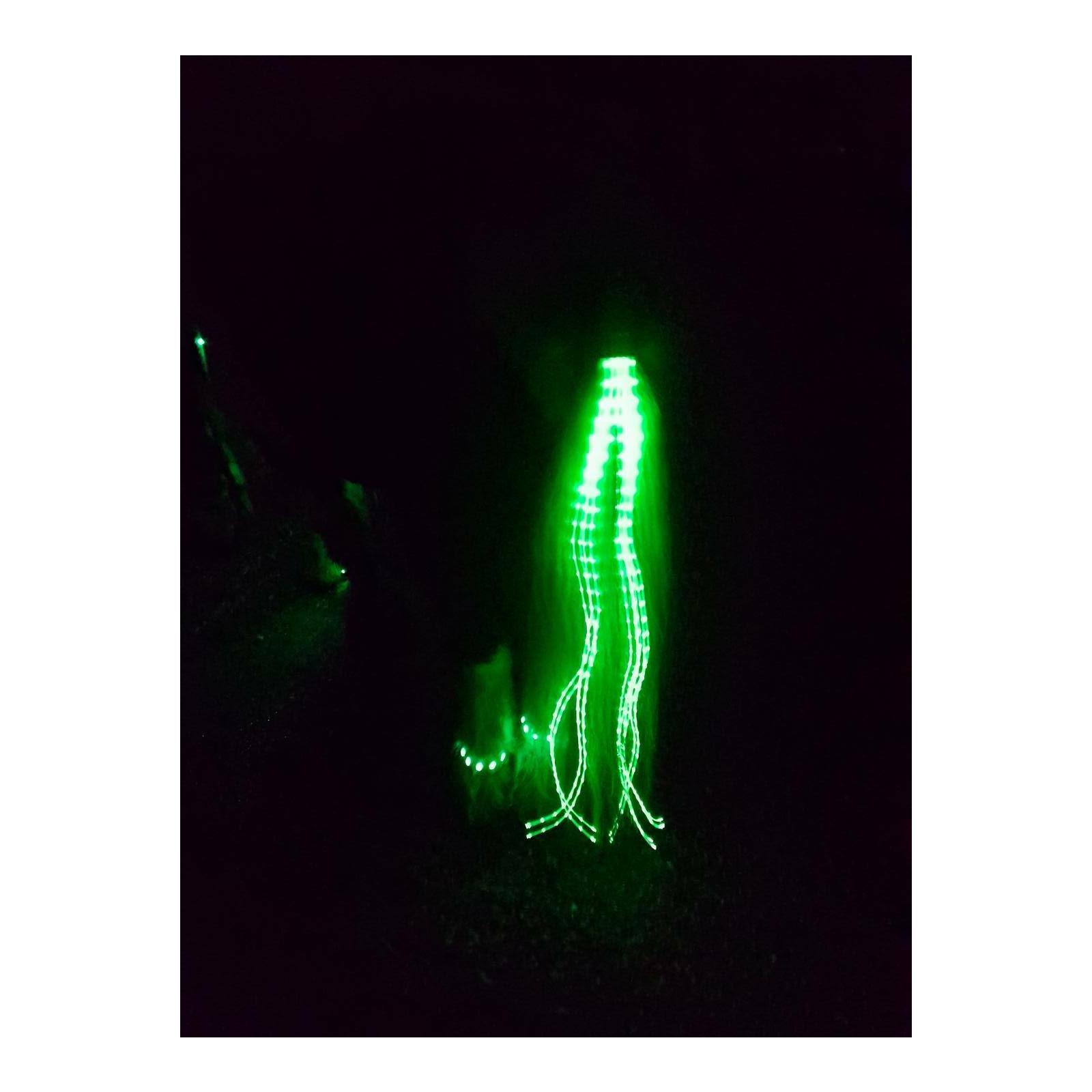 Animal Light LED Schweifbeleuchtung Long 2.0