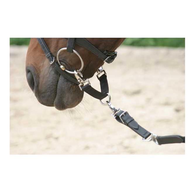 Longierbrille - schwarz