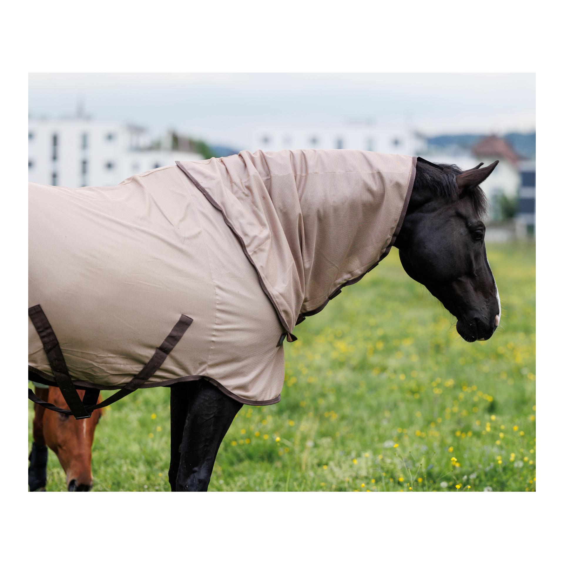 Fliegendecke Flybuster