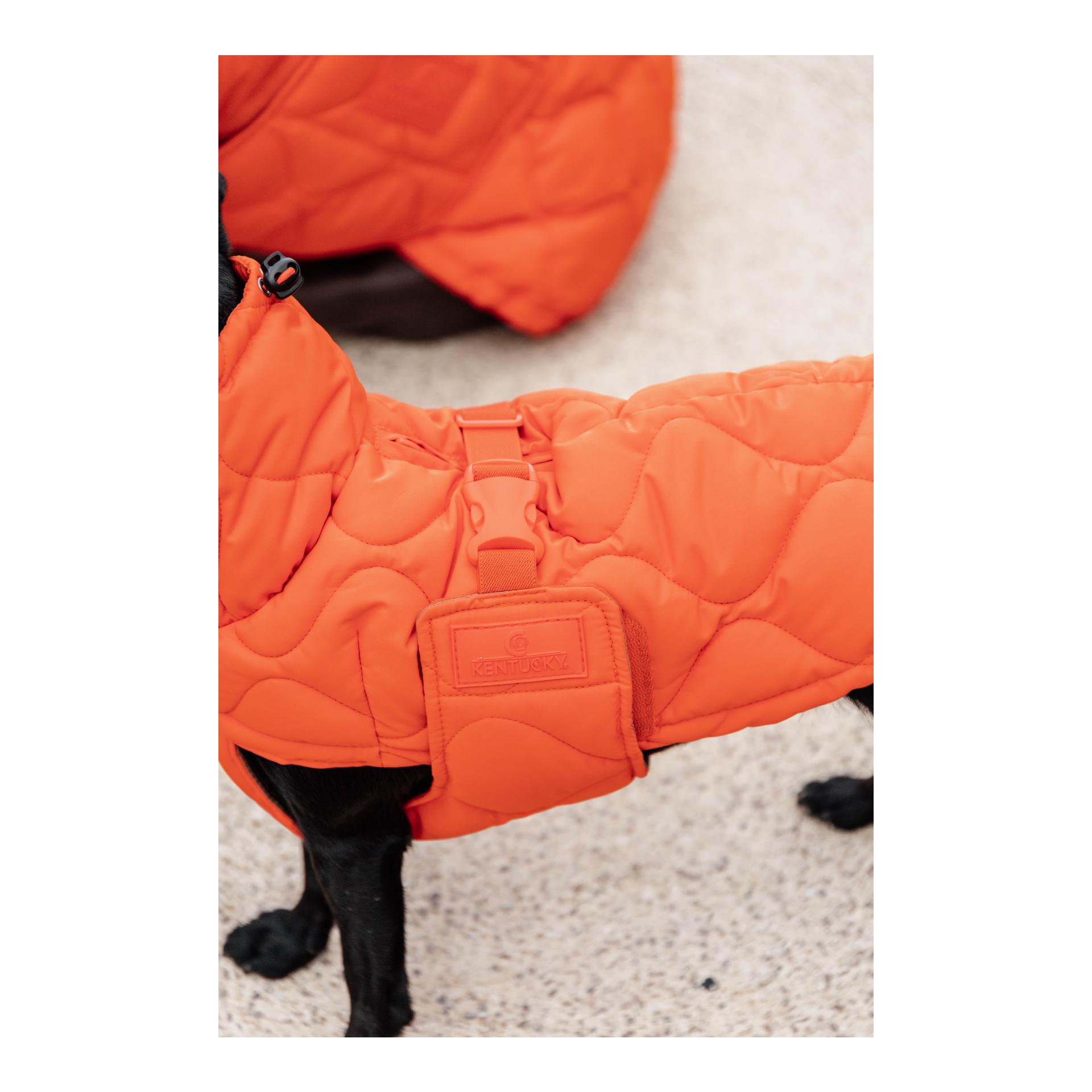 Hundemantel Pina - 160g