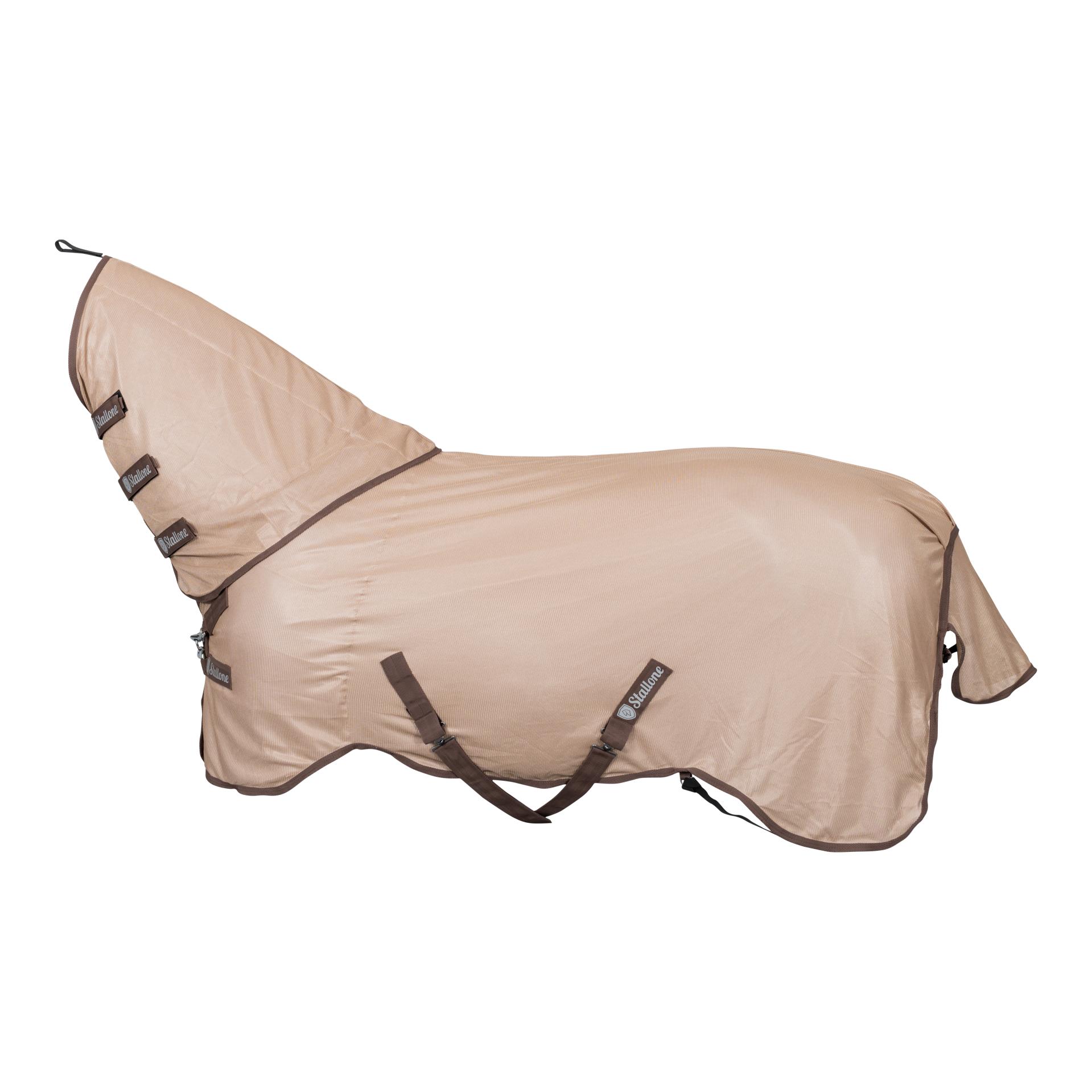 Fliegendecke Flybuster