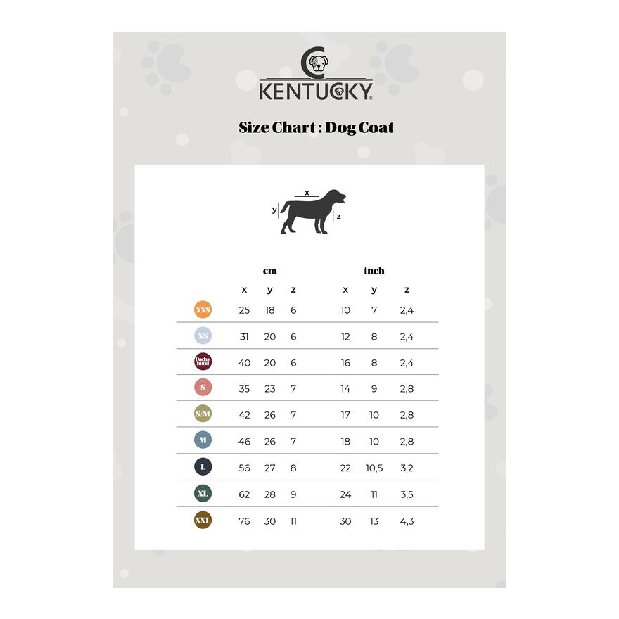 Hundemantel Wasserdicht 160g - Dusty Blue