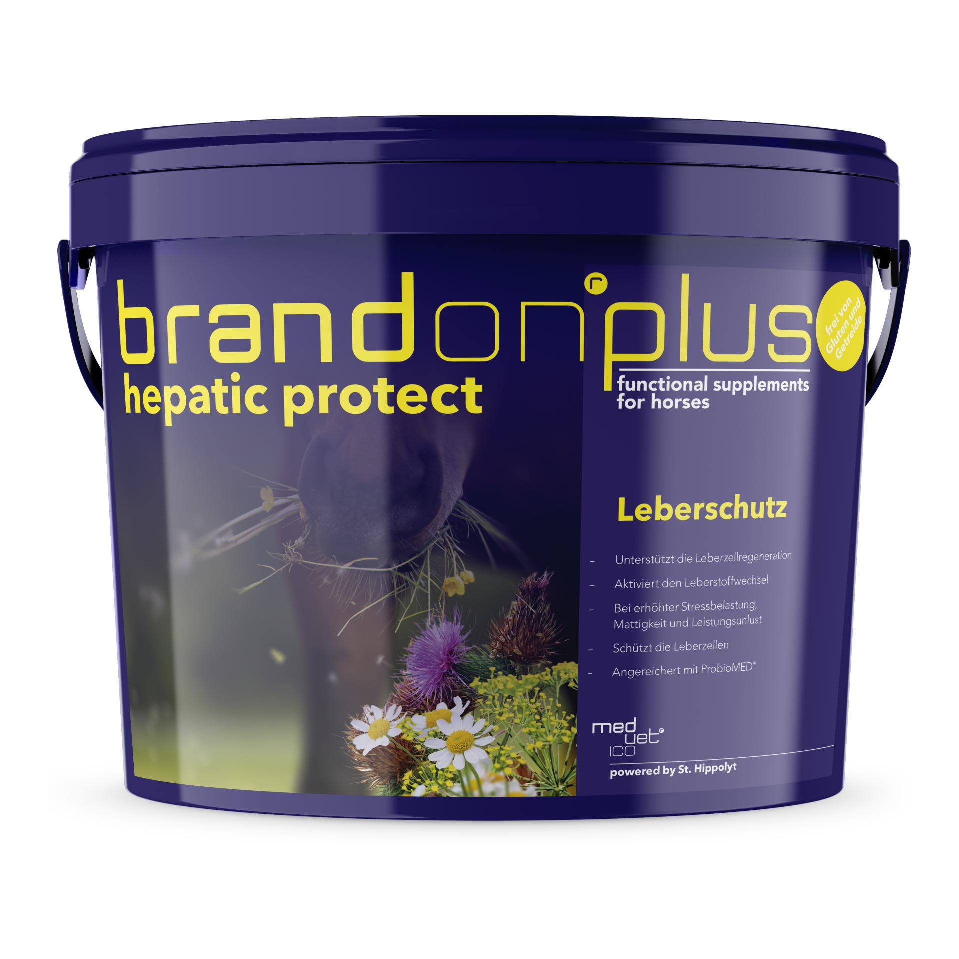 Plus Hepatic Protect 