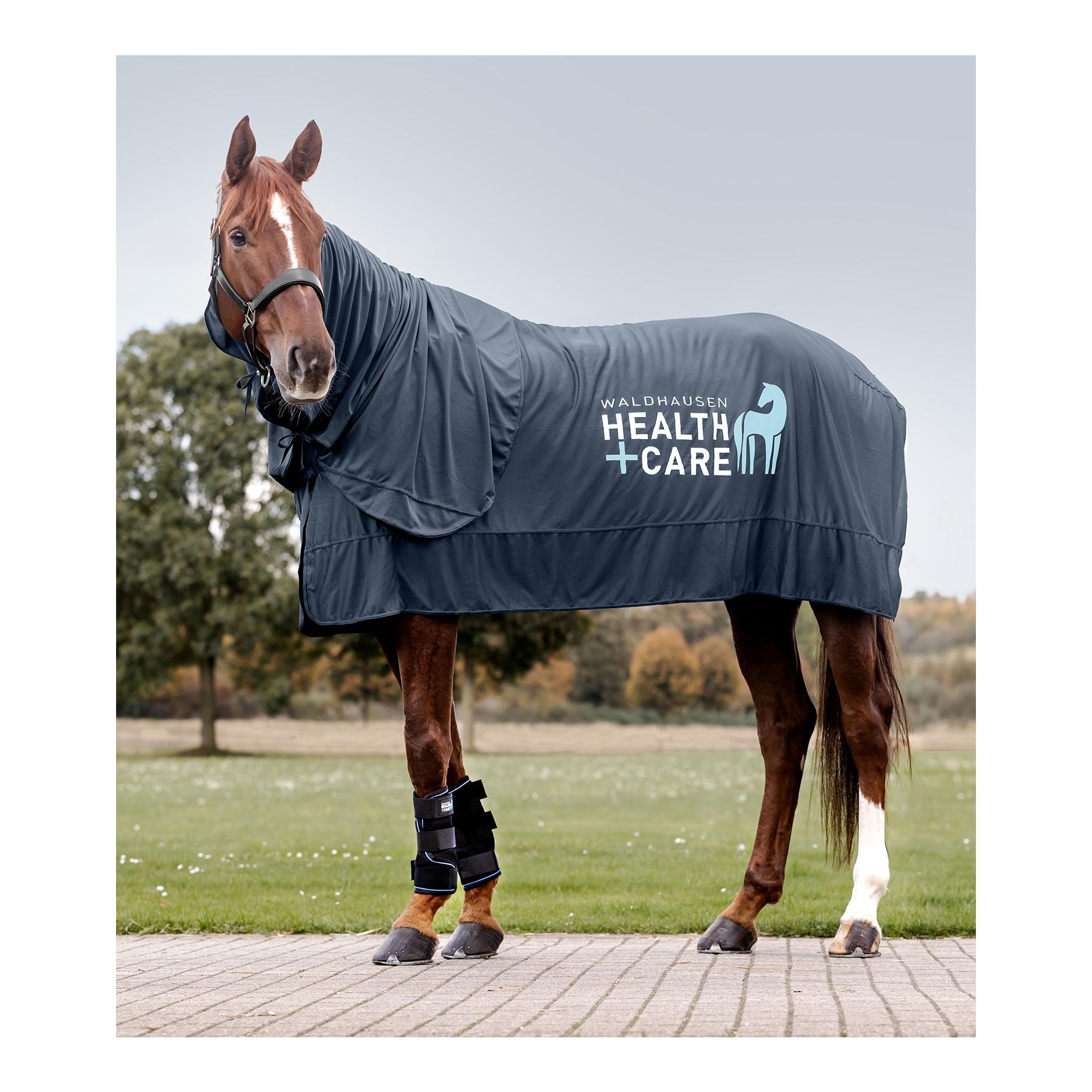 Waldhausen Health + Care Ice Layer Decke