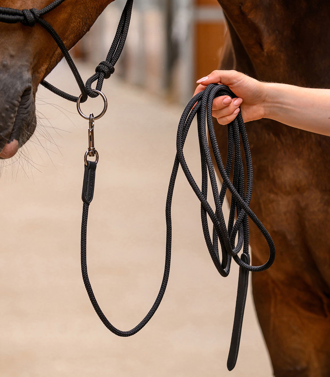 Bodenarbeitsseil leicht mit Karabiner