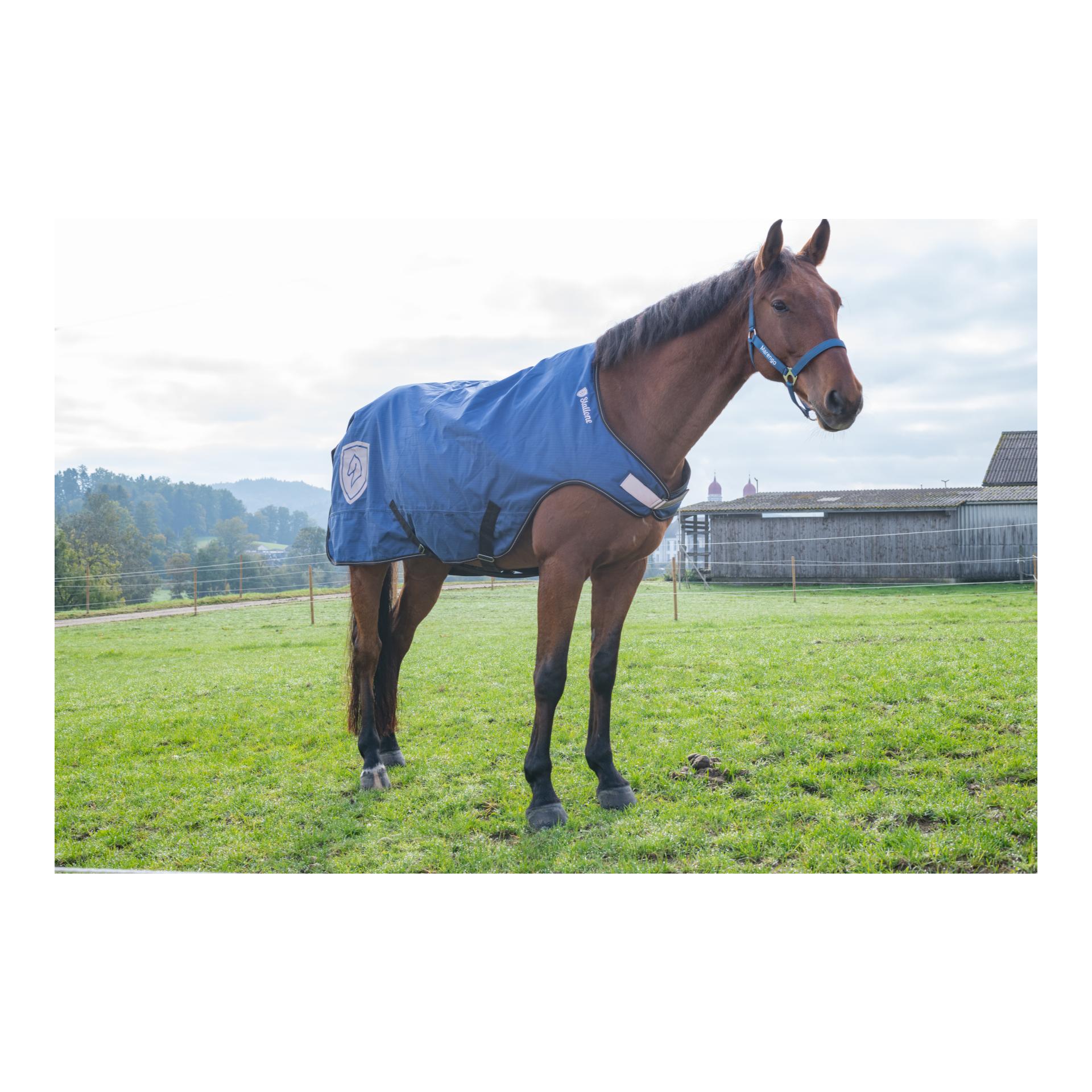Walker Rug 100 g Walker Rug 100 g