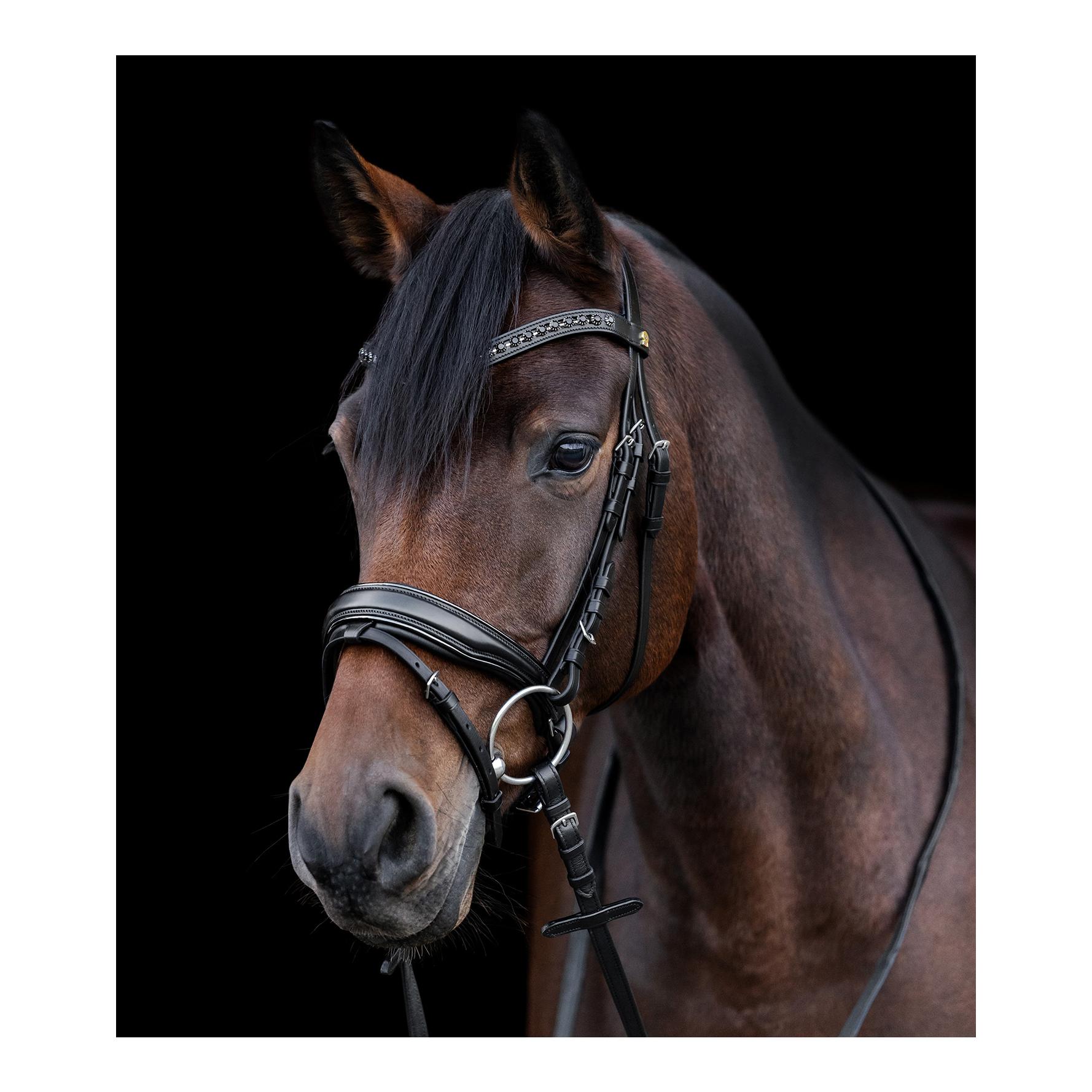 Waldhausen S-Line Trensenzaum Blackshine