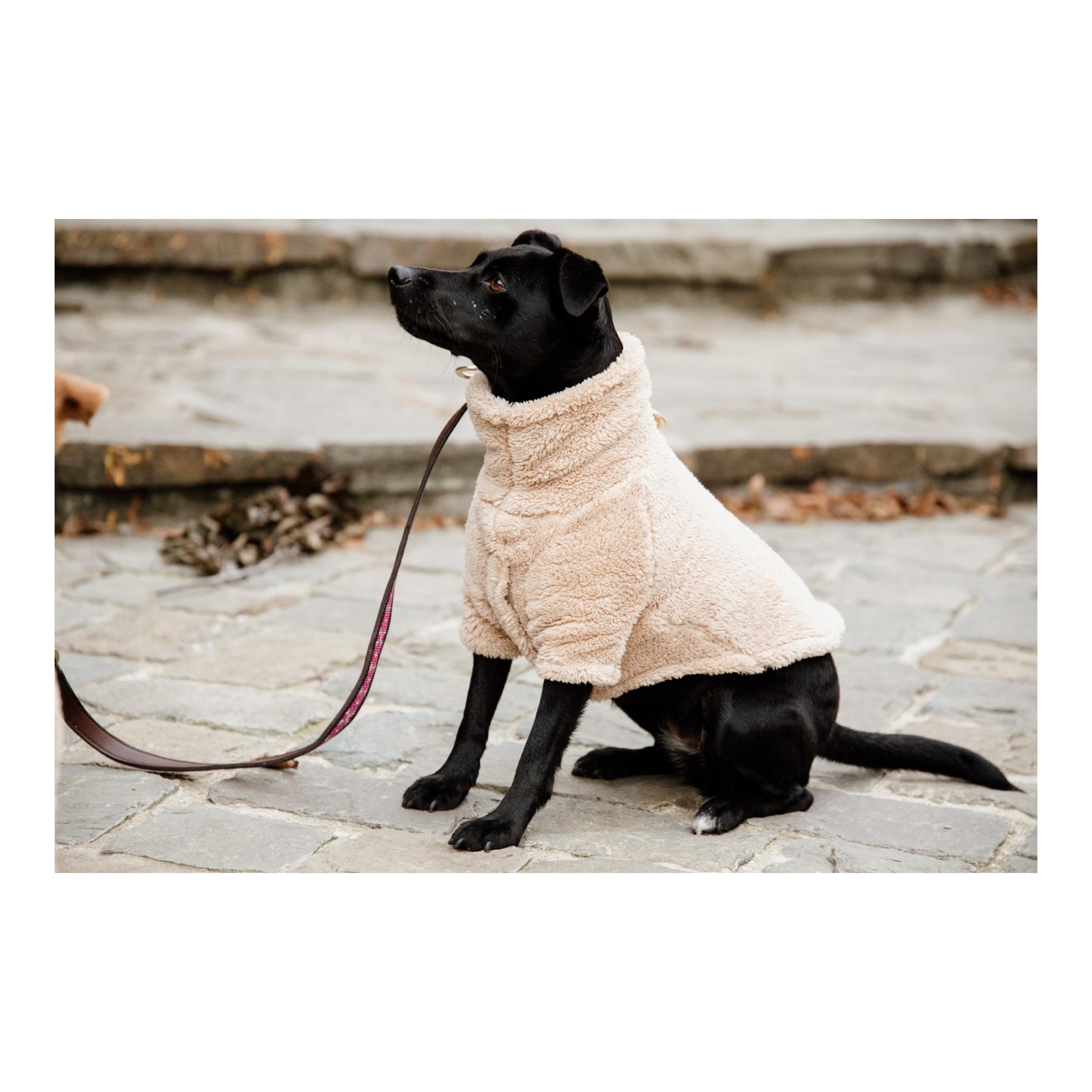 Hundepullover Teddy Fleece - beige
