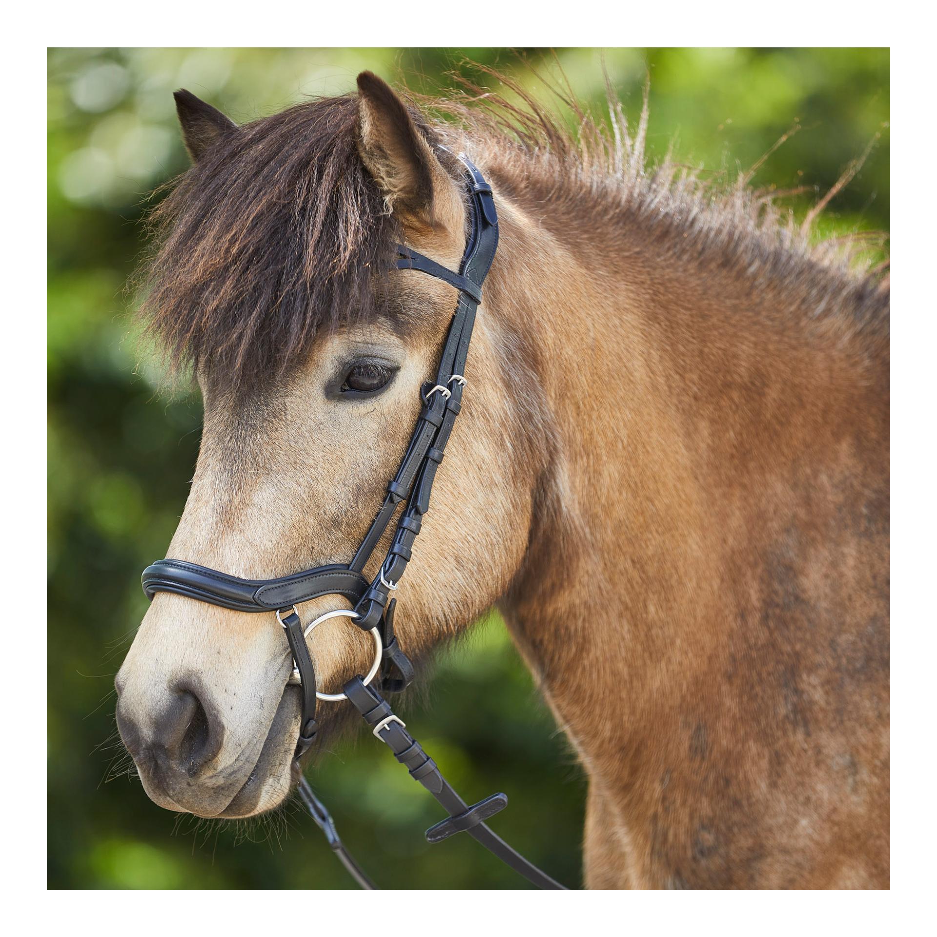 Waldhausen Islandzaum Anatomic - schwarz