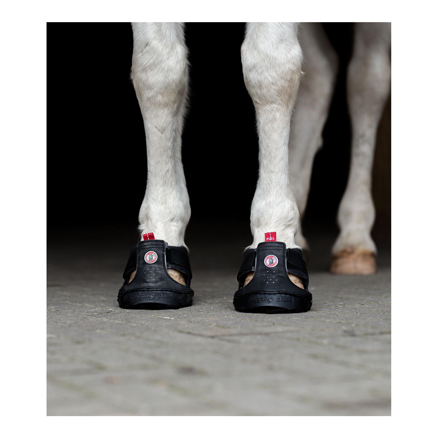Equine Fusion Trekking Shoe Regular