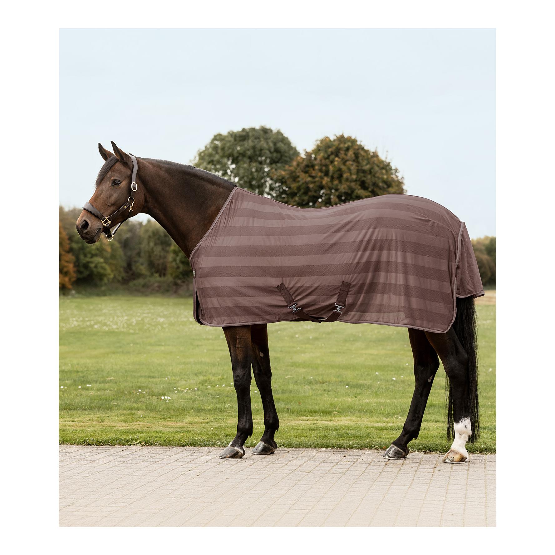 Fliegendecke Economic Kreuzbegurtung