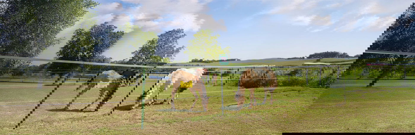 HPP-stall-weide-topslider