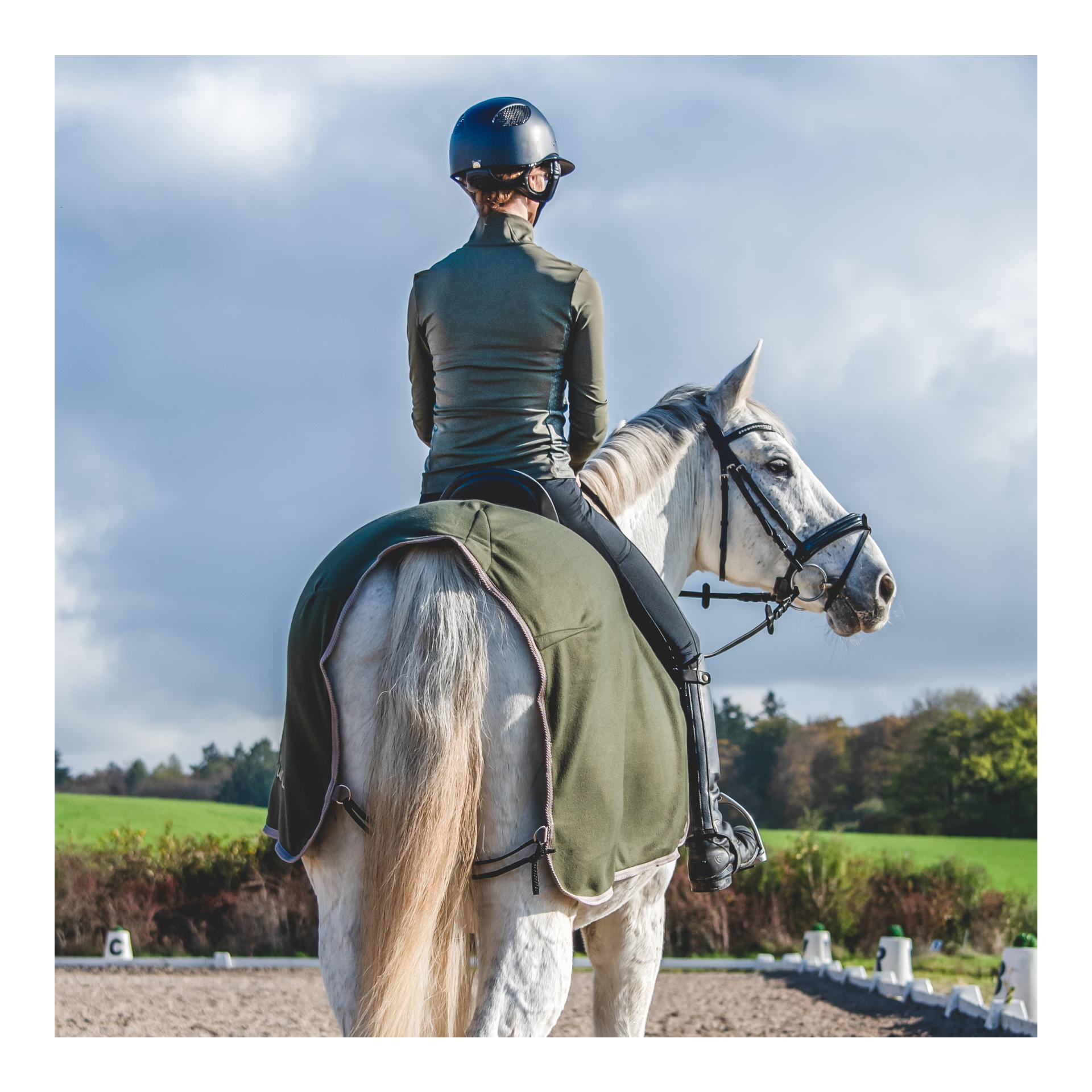 Funktionsshirt Elements langarm