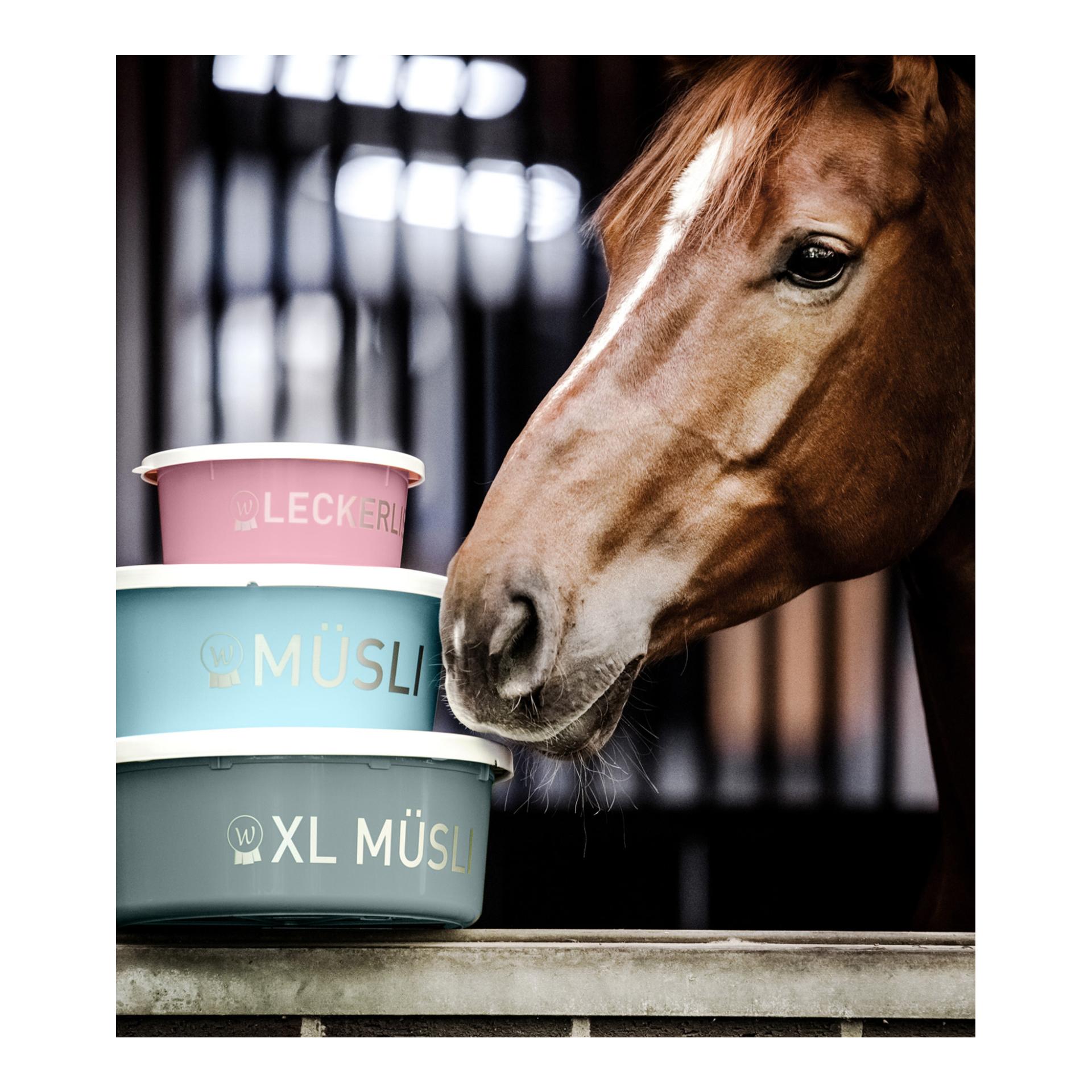 Deckel weiss, einzeln für 15016.. Leckerli-Schale