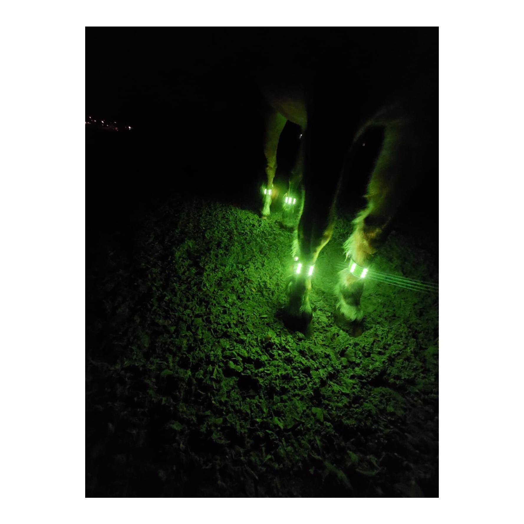 LED Leuchtgamaschen Threeple 4er-Set