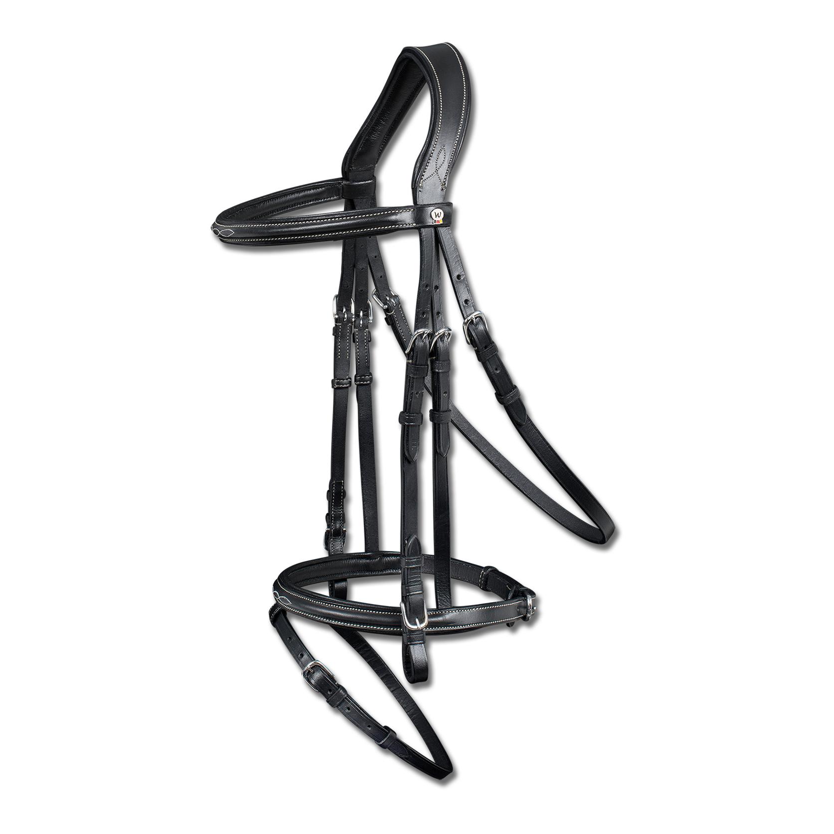 Trensenzaum Santander engl. komb.