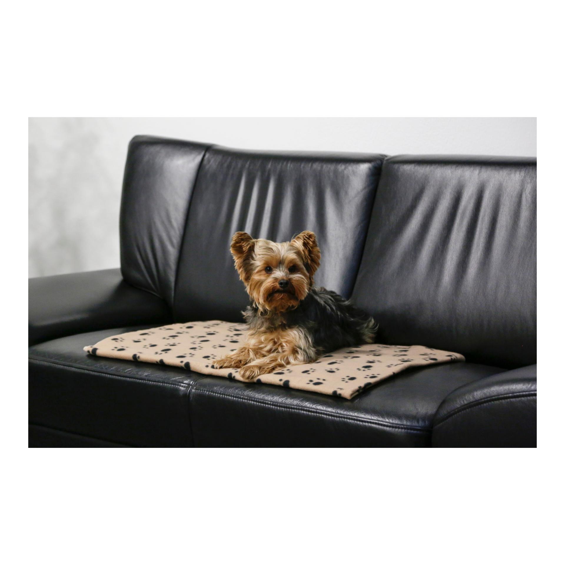 Hundedecke Stella - beige mit Pfoten