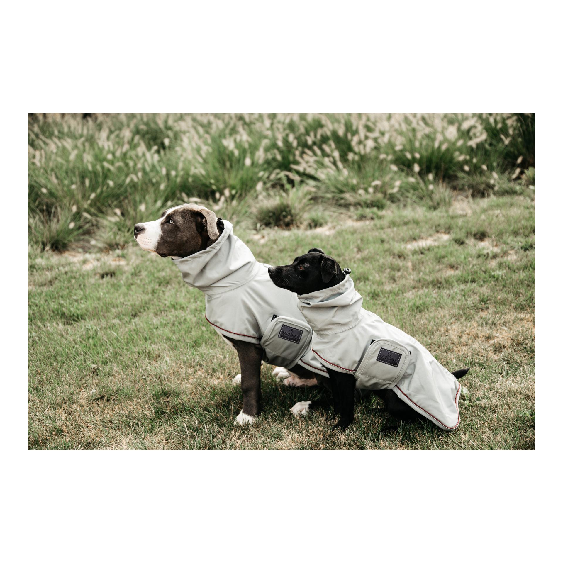 Hunde Regenjacke