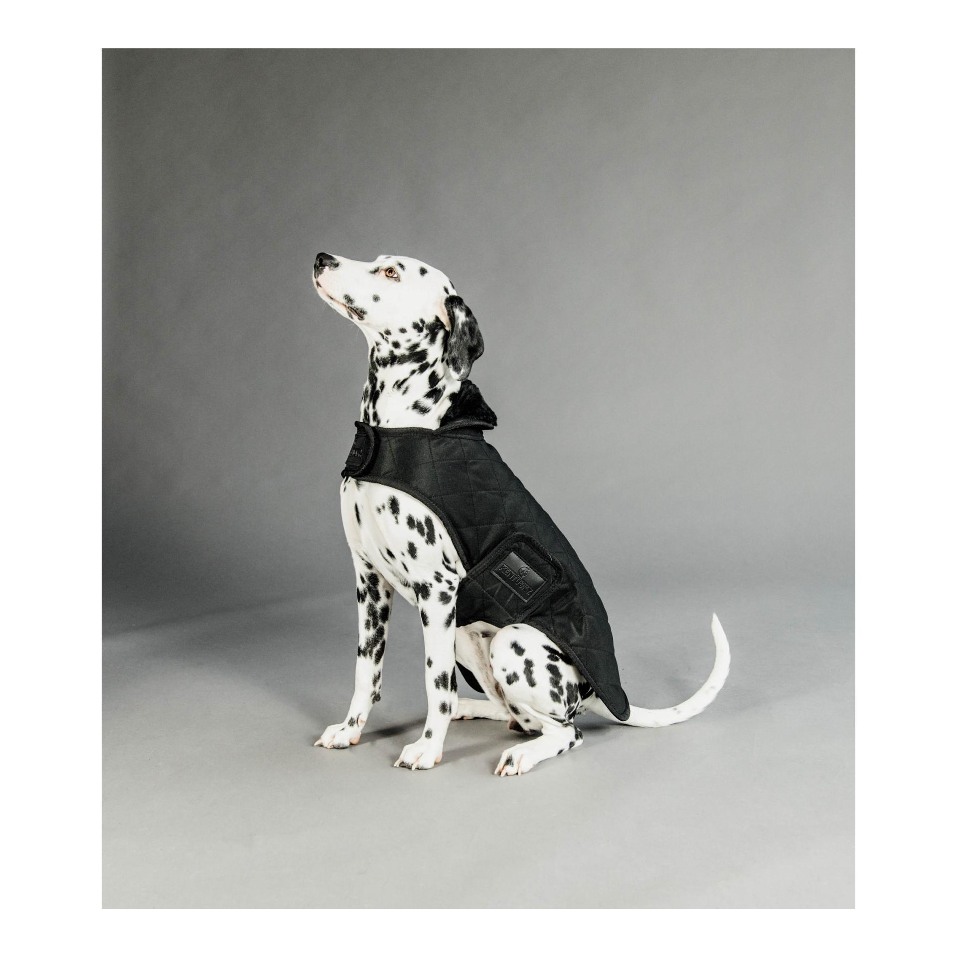 Hundemantel Original - black/black