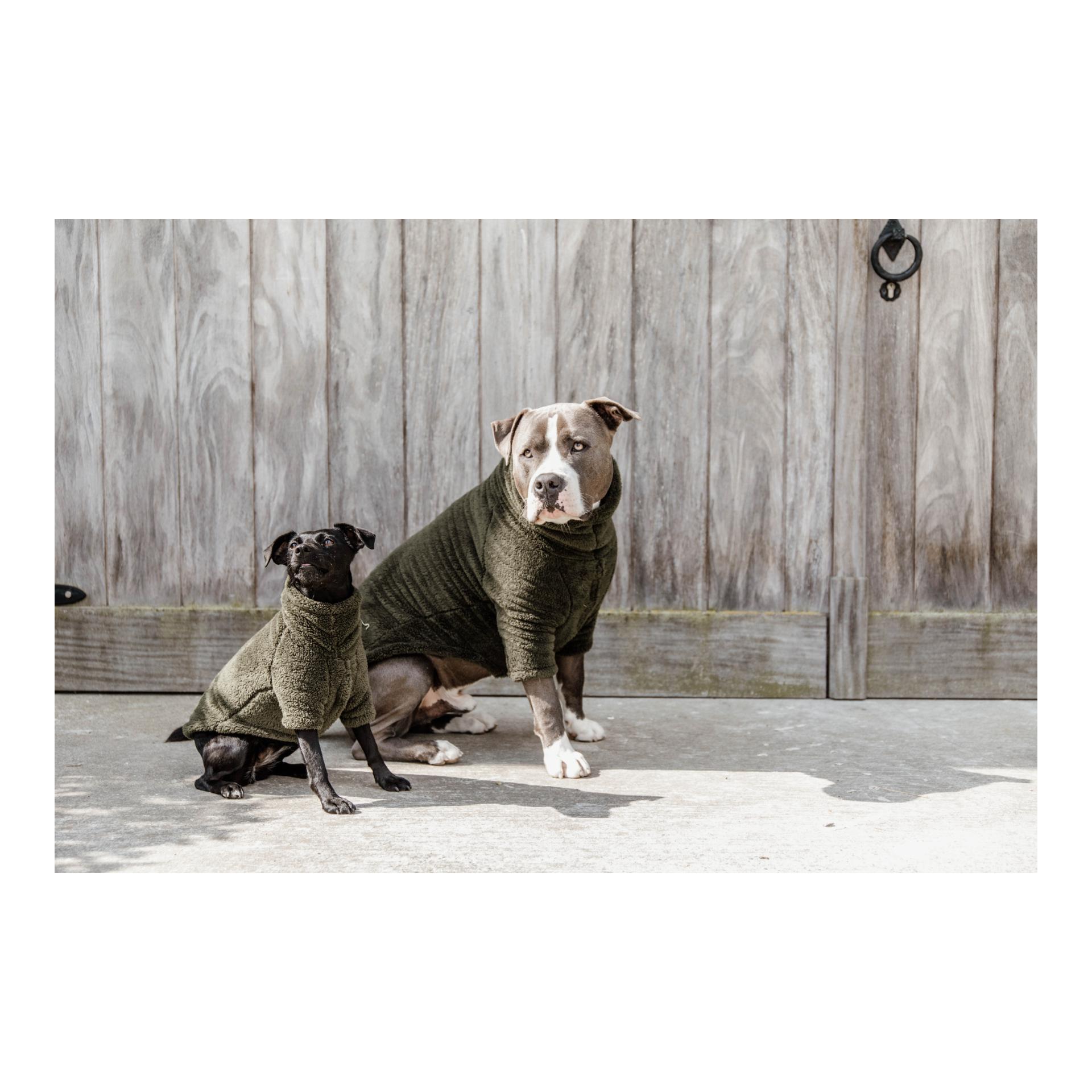 Hundepullover Teddy Fleece - Pine Green