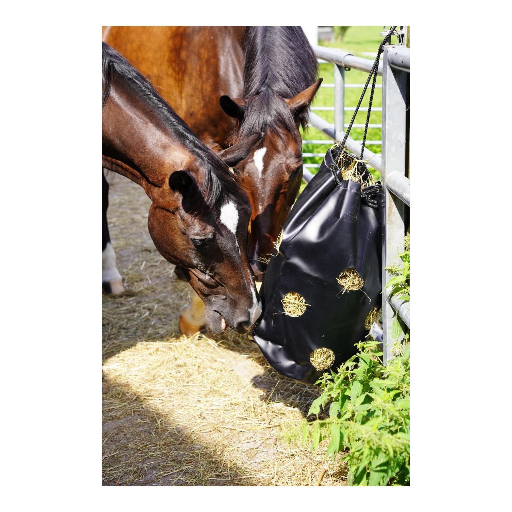 Heusack HayBag