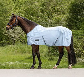 HP-Pferd-KAT-uebergangs_Weidedecken