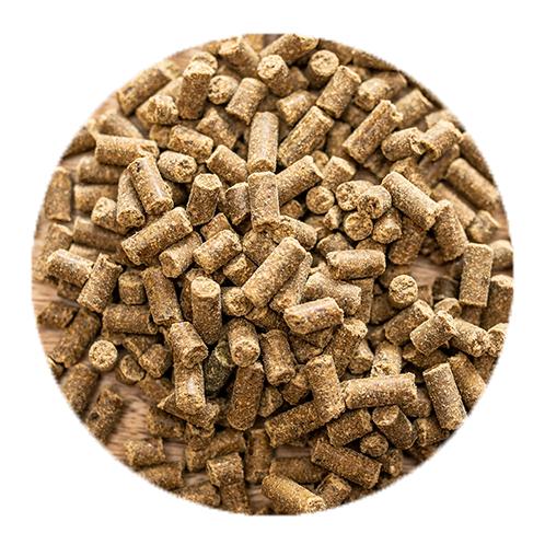 Magnesium B12 Magnesium B12