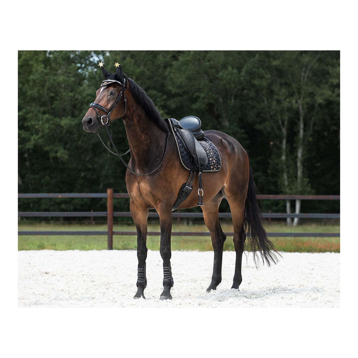 Schabracke Celebrate