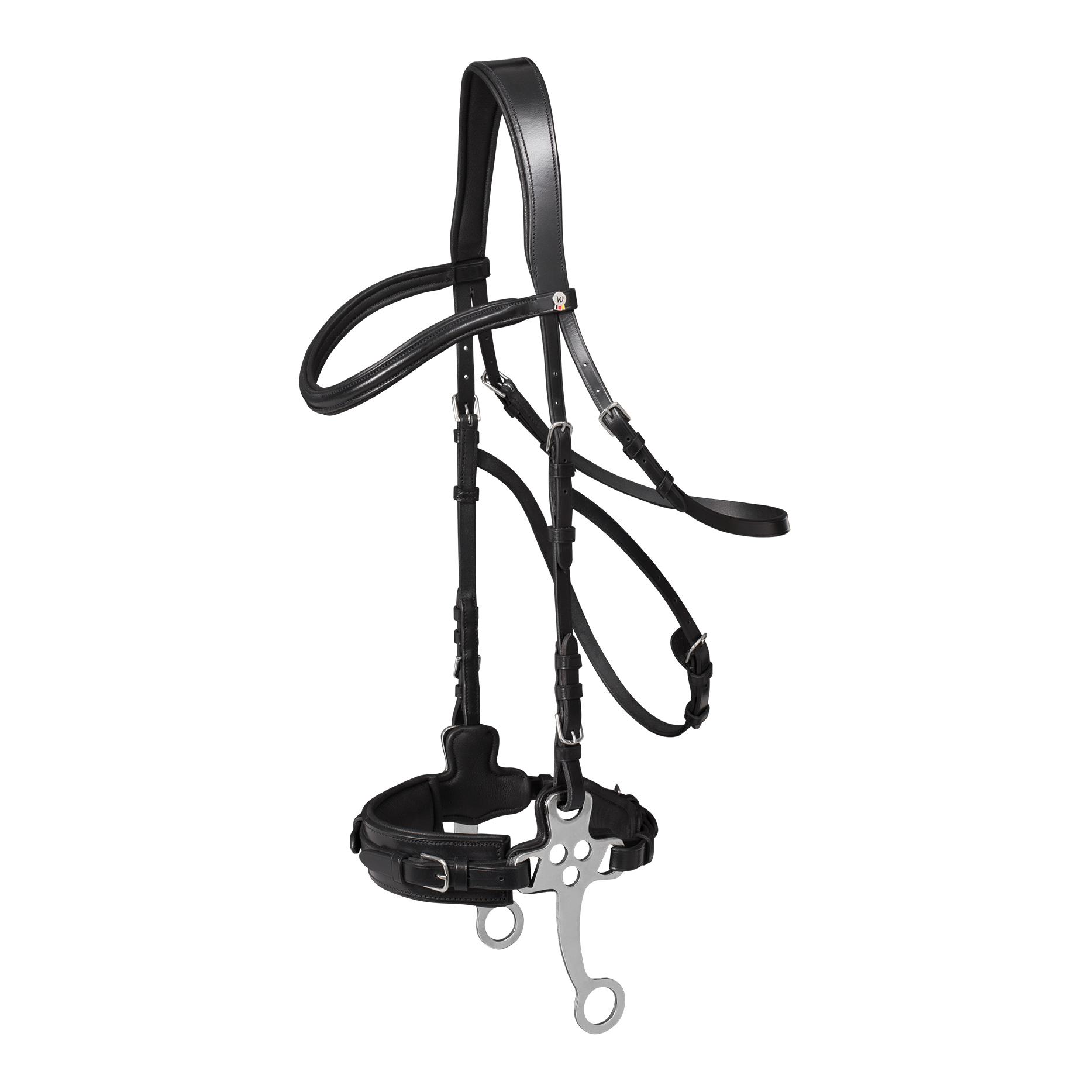 Hackamore Trensenzaum