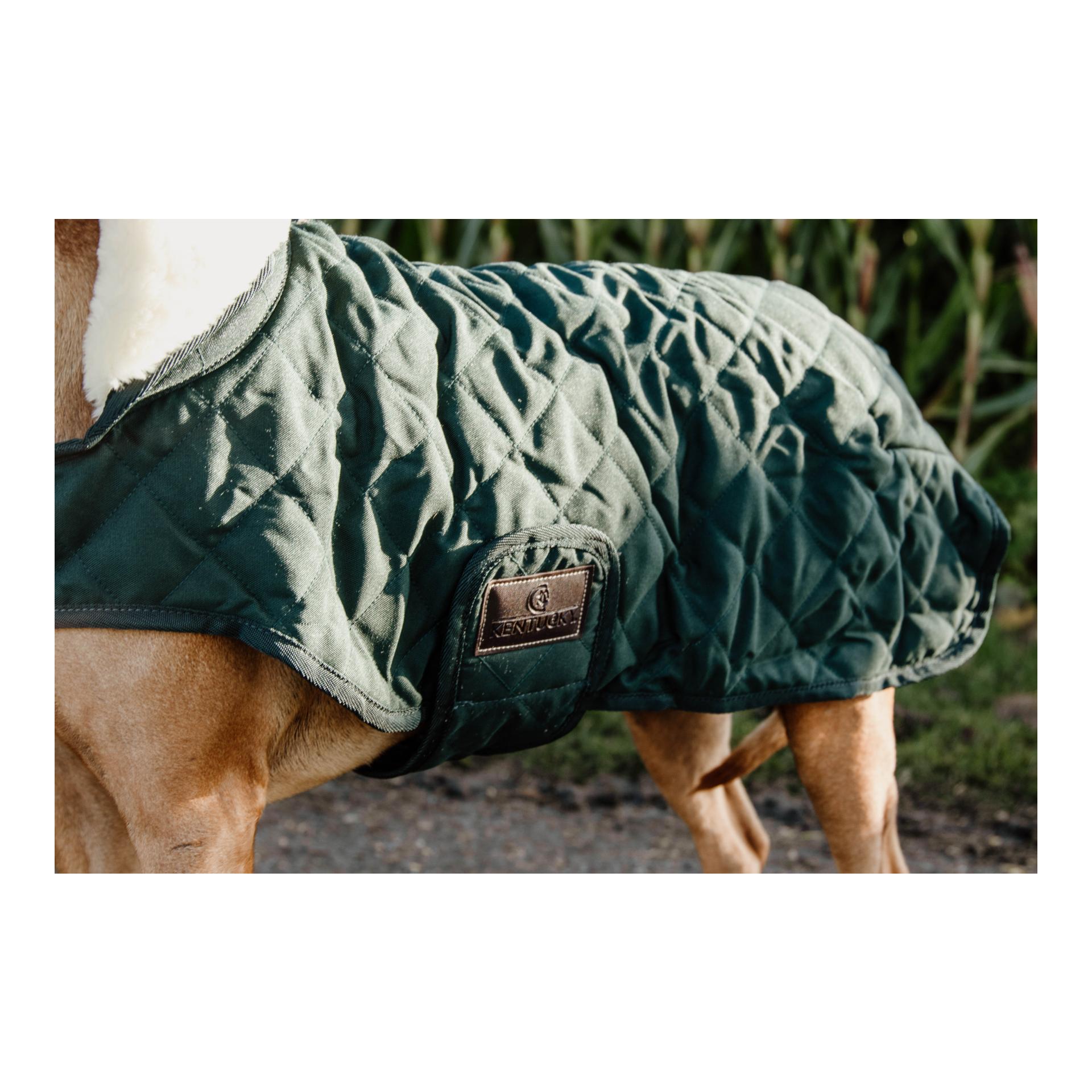 Hundemantel Original - dark green