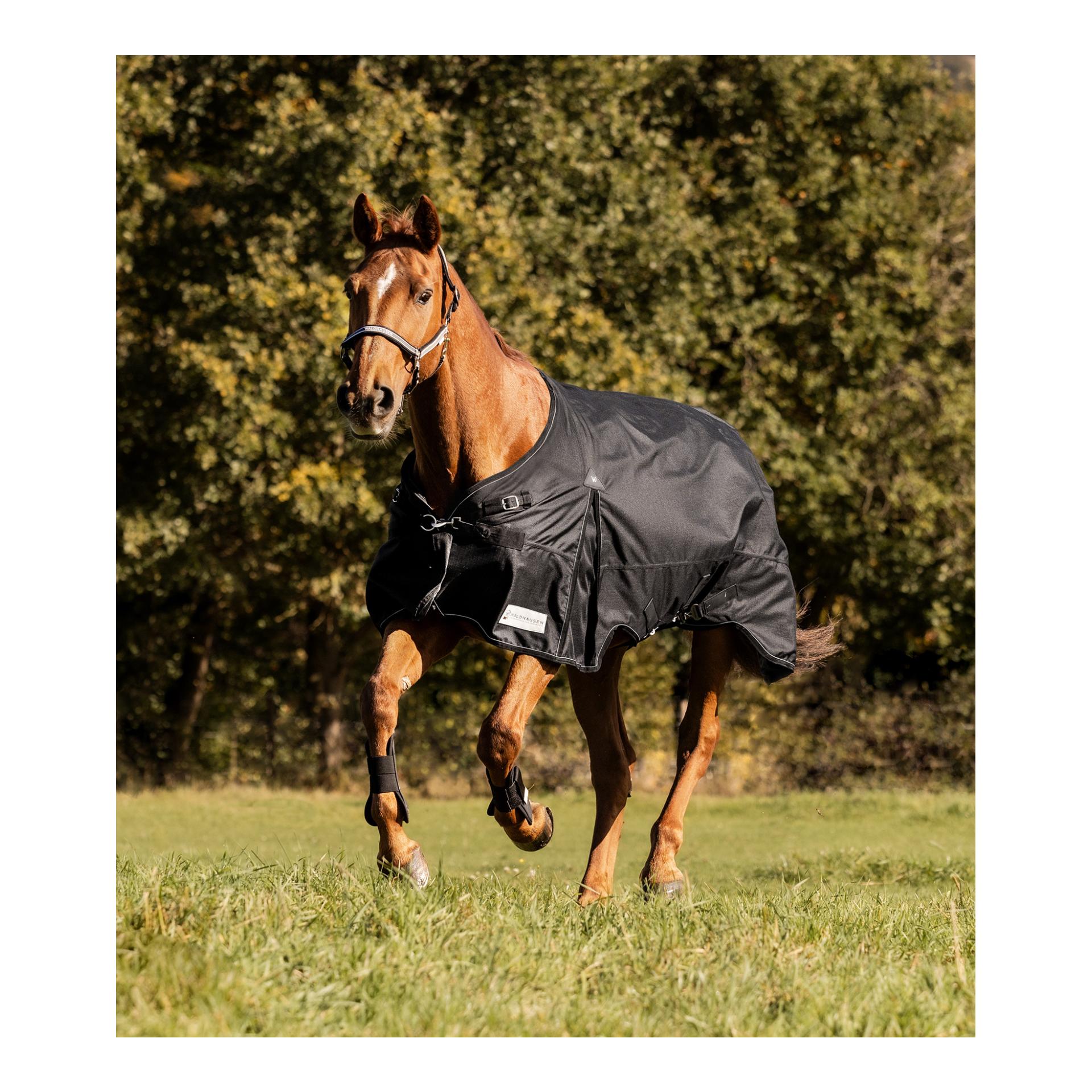 Outdoordecke Scandic, 100g