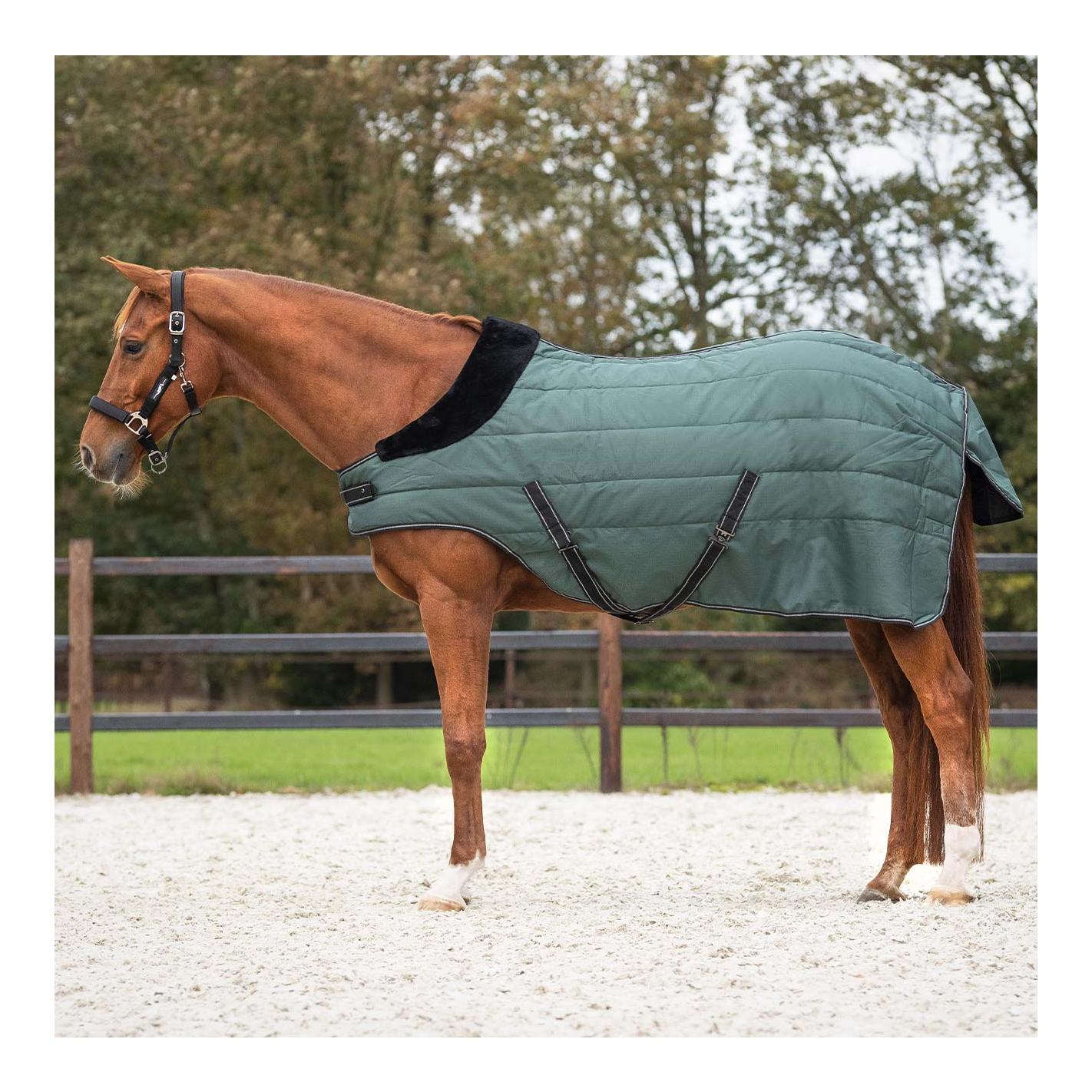 Stalldecke Avélie 200gr Schulterausschnitt Stalldecke Avélie 200gr Schulterausschnitt
