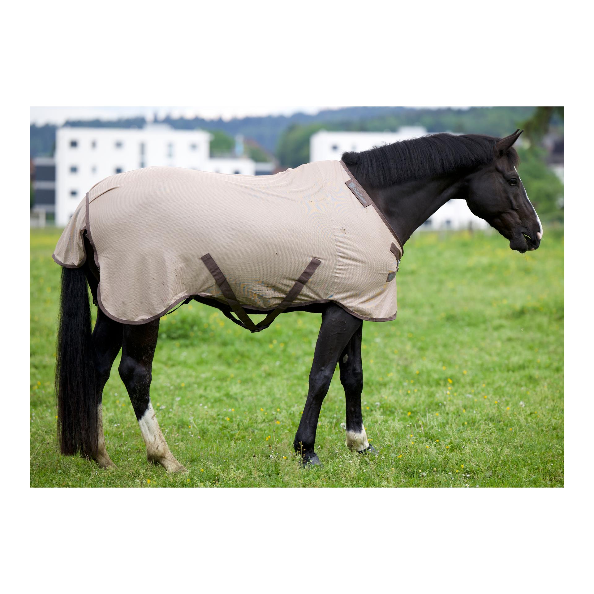 Fliegendecke Flybuster