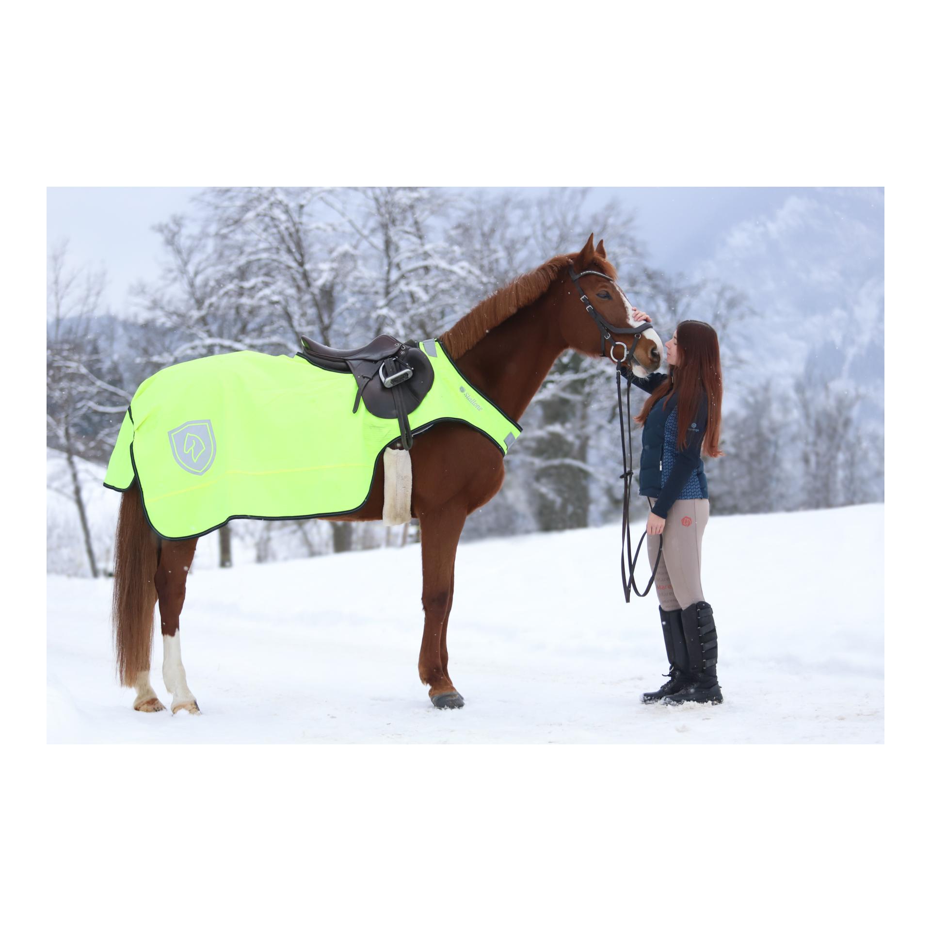 Ausreitdecke Deluxe 50 g