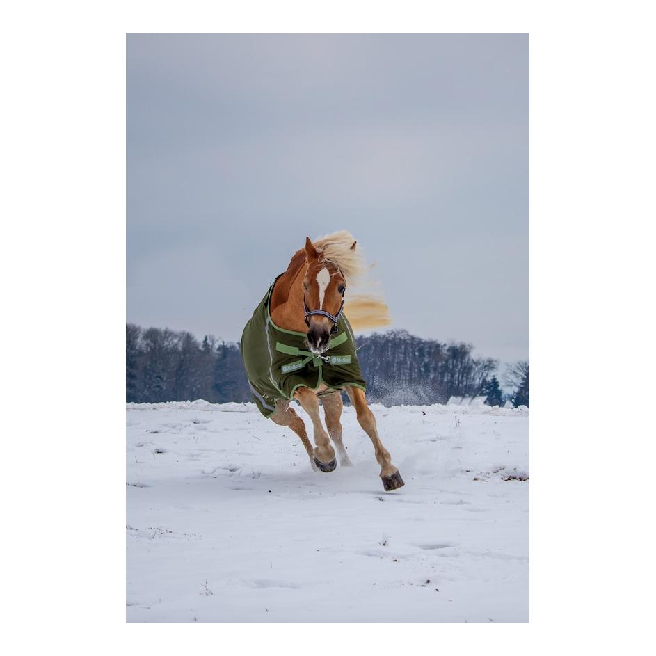 Winterdecke 300 g Outdoor Guard Winterdecke 300 g Outdoor Guard