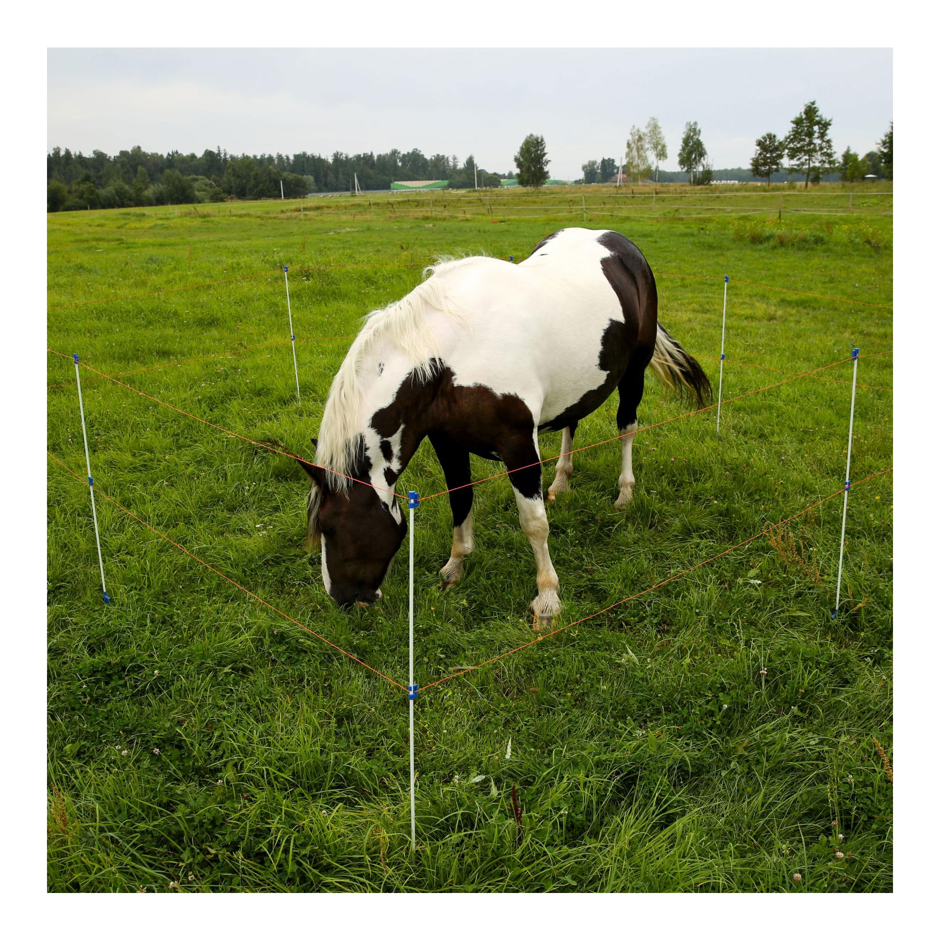 Profi-Fiberglaspfahl BLUE - 10 Stück