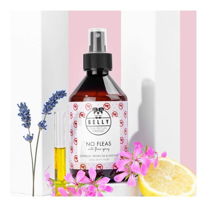 Anti-Flohmittel No Fleas 