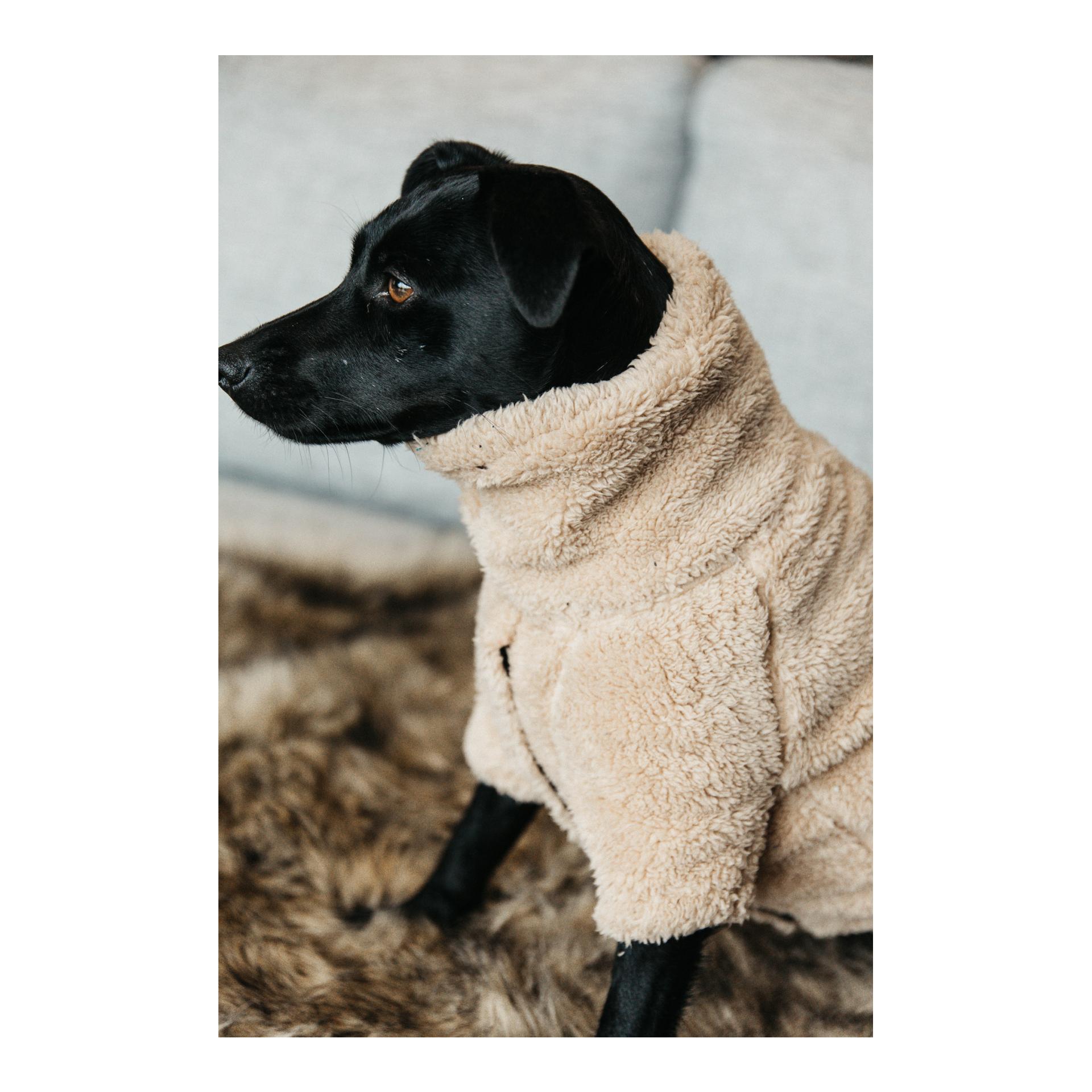 Hundepullover Teddy Fleece - beige