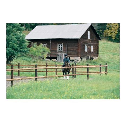 Octo Wood - Streckenpfahl - holz