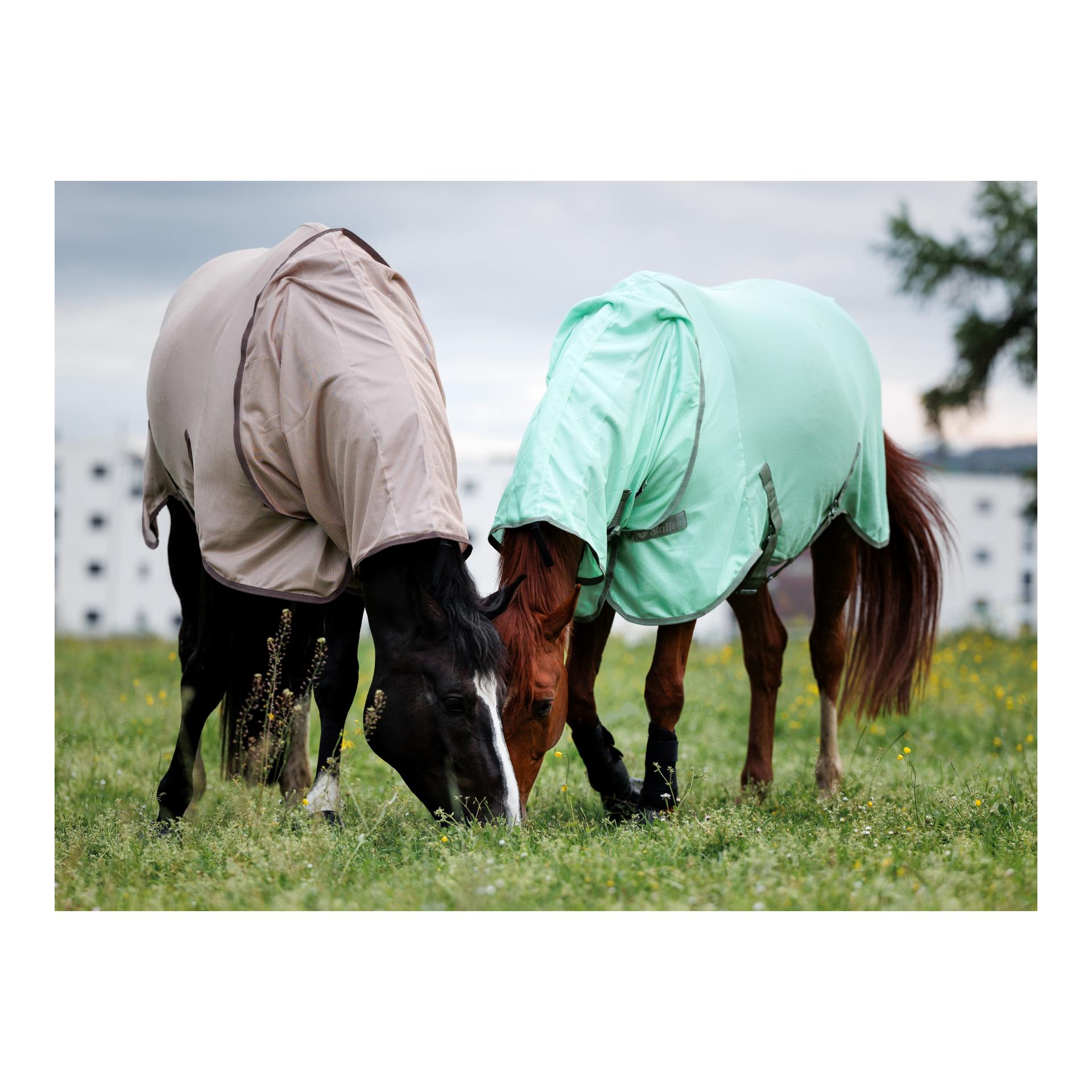 Fliegendecke Flybuster