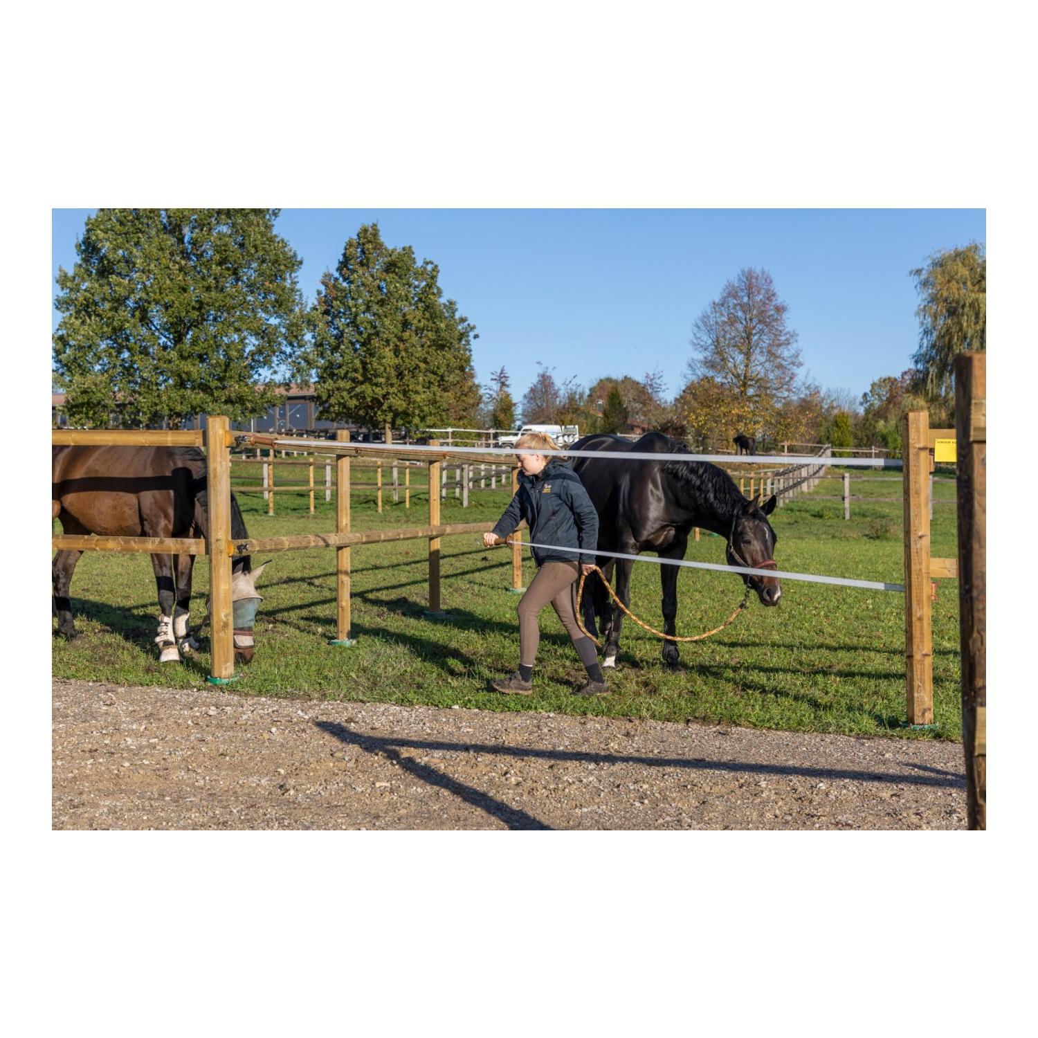 Premium Flexigate mit 40 mm-Band