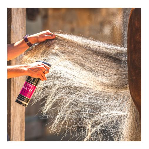 Canter Mane & Tail
