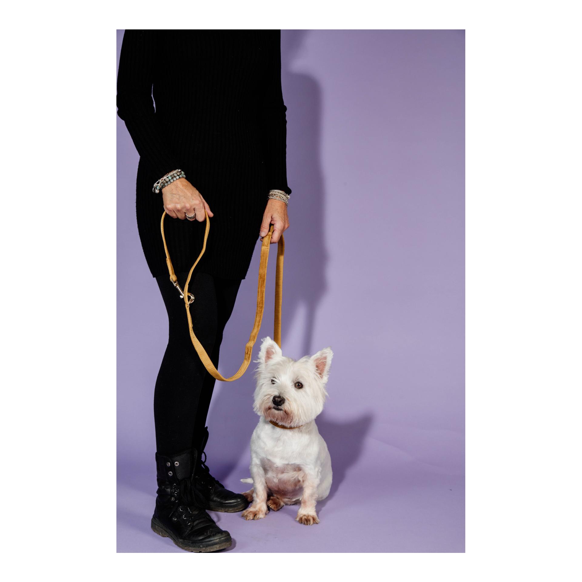 Hundeleine Velvet - mustard