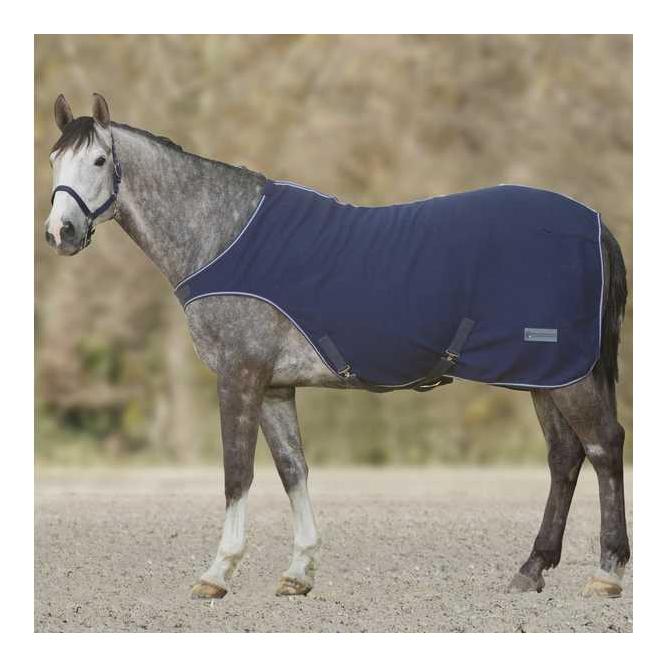 Führanlagendecke Economic - nachtblau