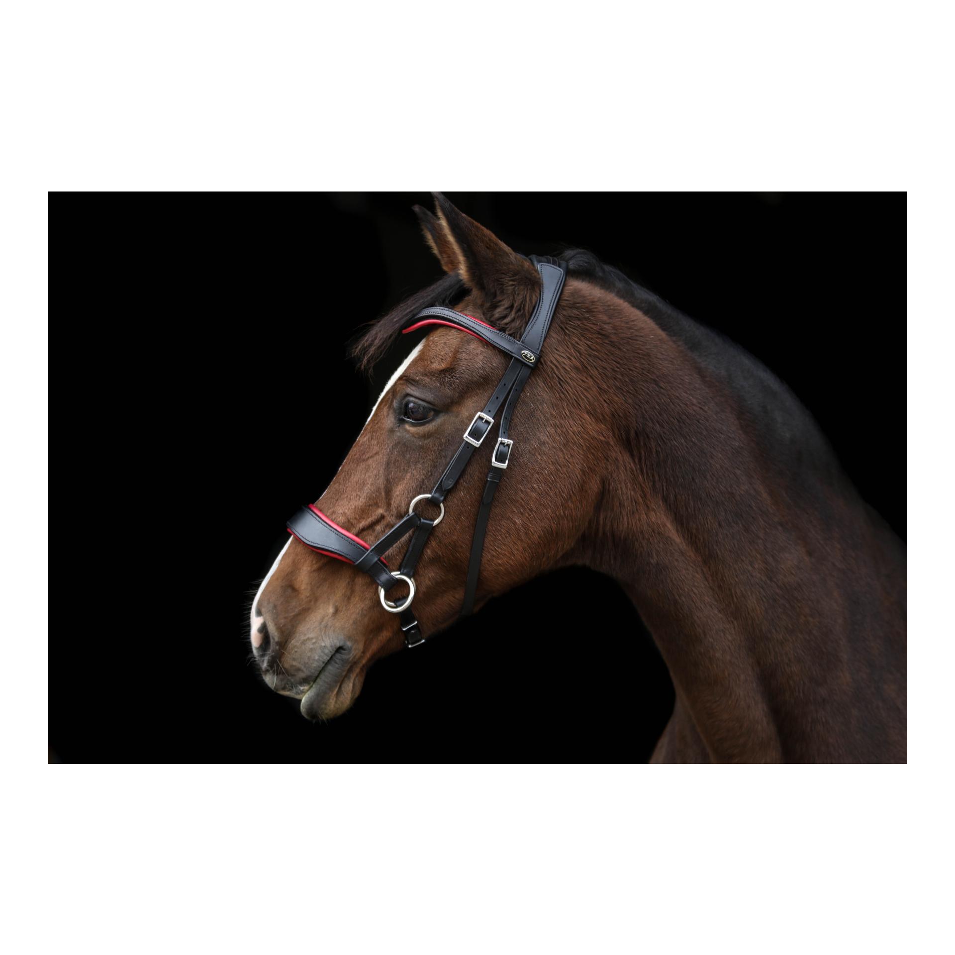 Zaum gebisslos Aruba mit flexiblen Farbpads