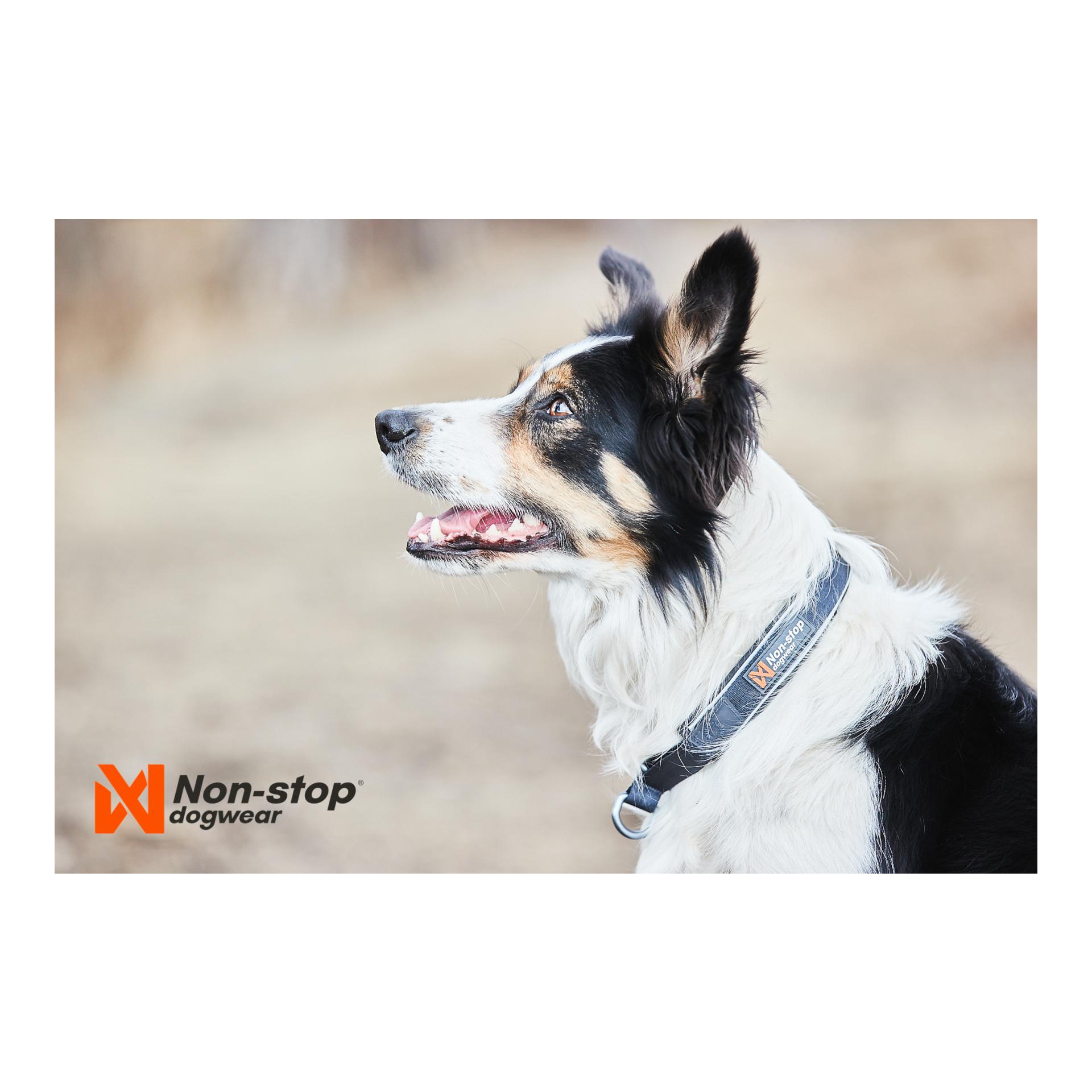 Cruise Collar - black