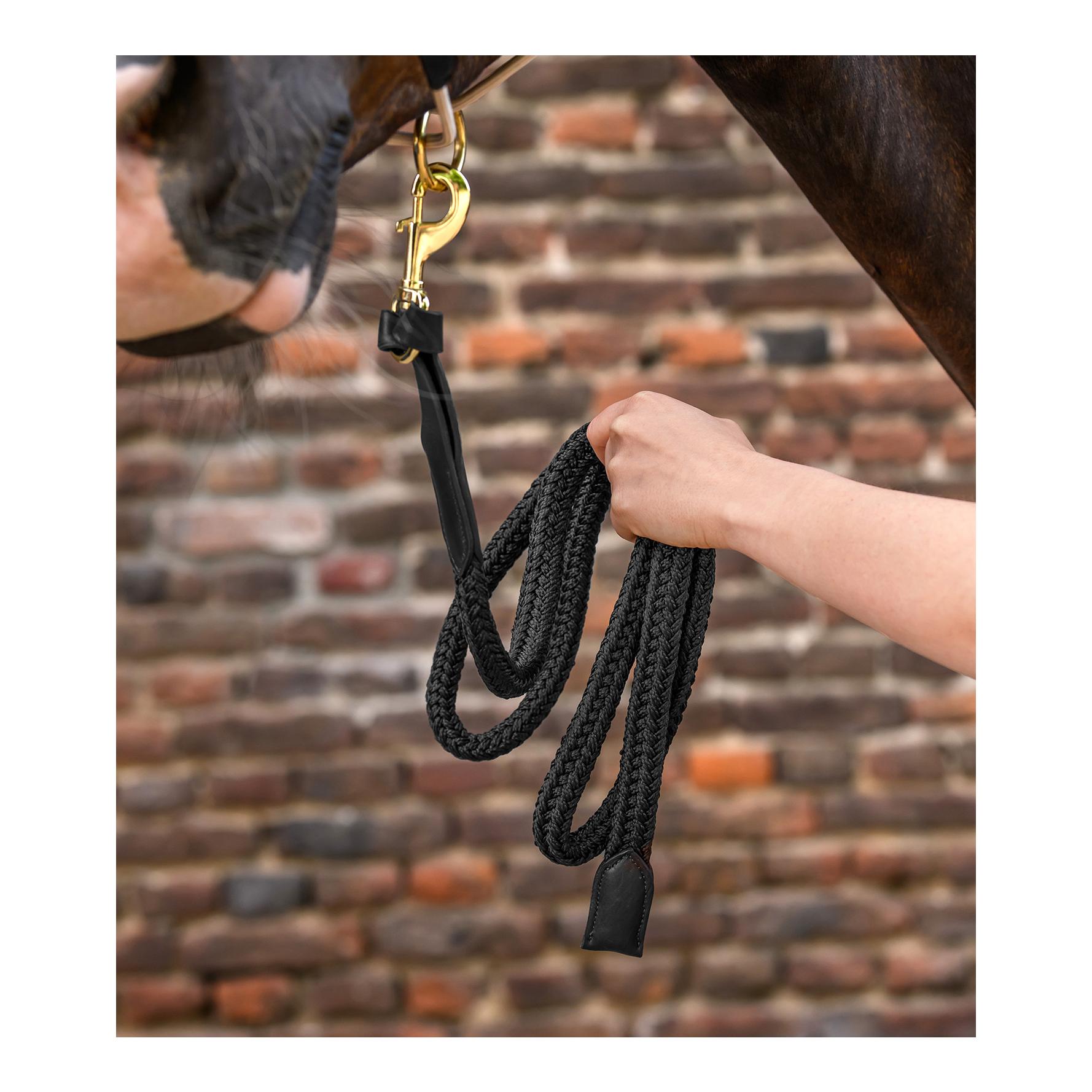 Führstrick Royal Lederdetails mit Karabinerhaken